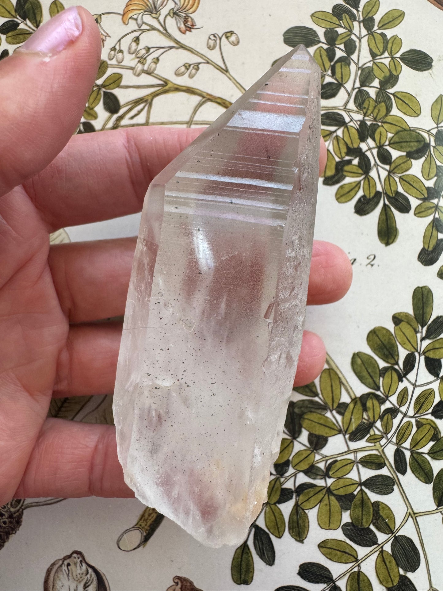 Lemurian Quartz Point 123 g Brazil - Moon Room Shop and Wellness