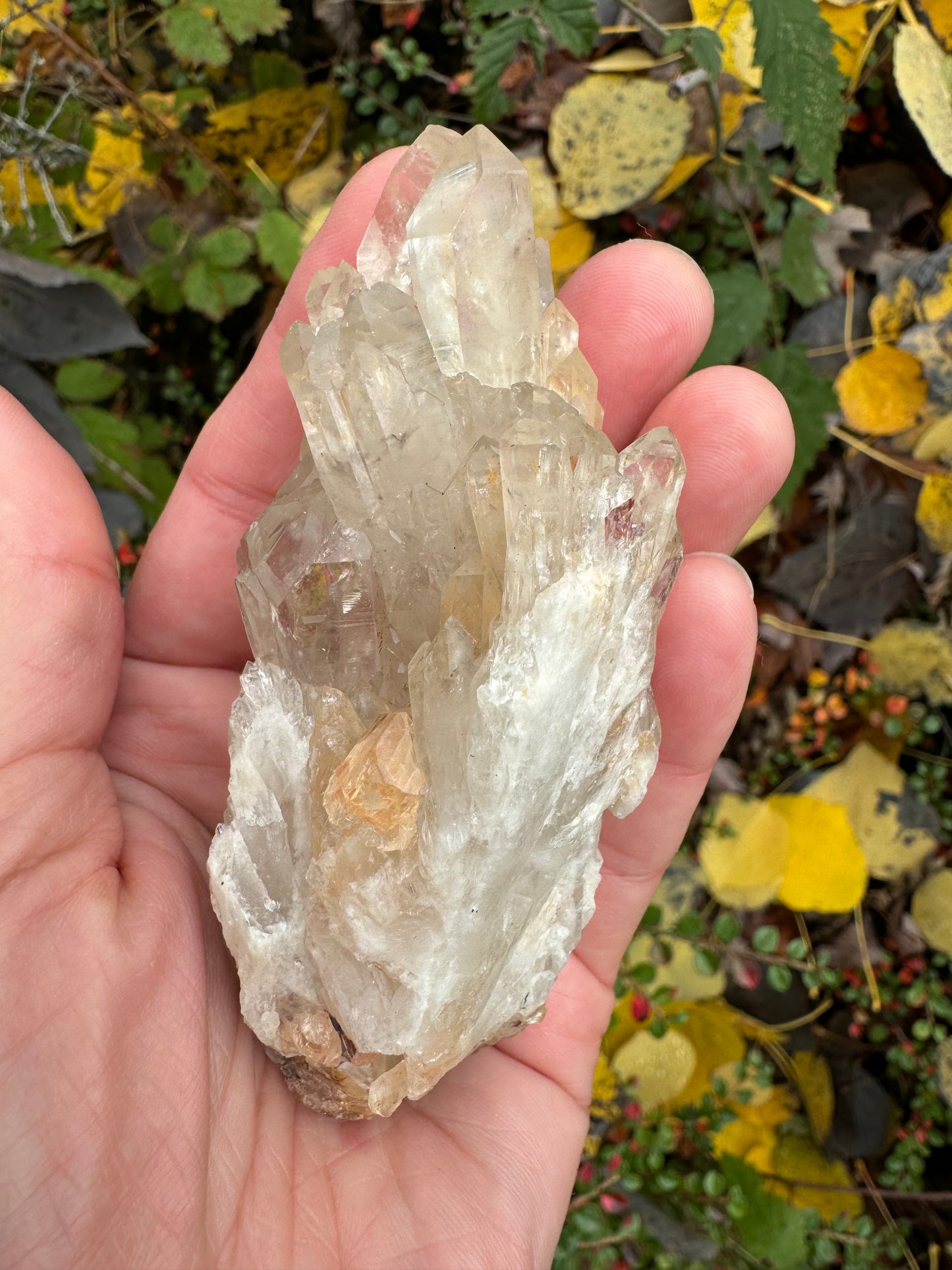 Kundalini Citrine 142 g Rainbows! - Moon Room Shop and Wellness