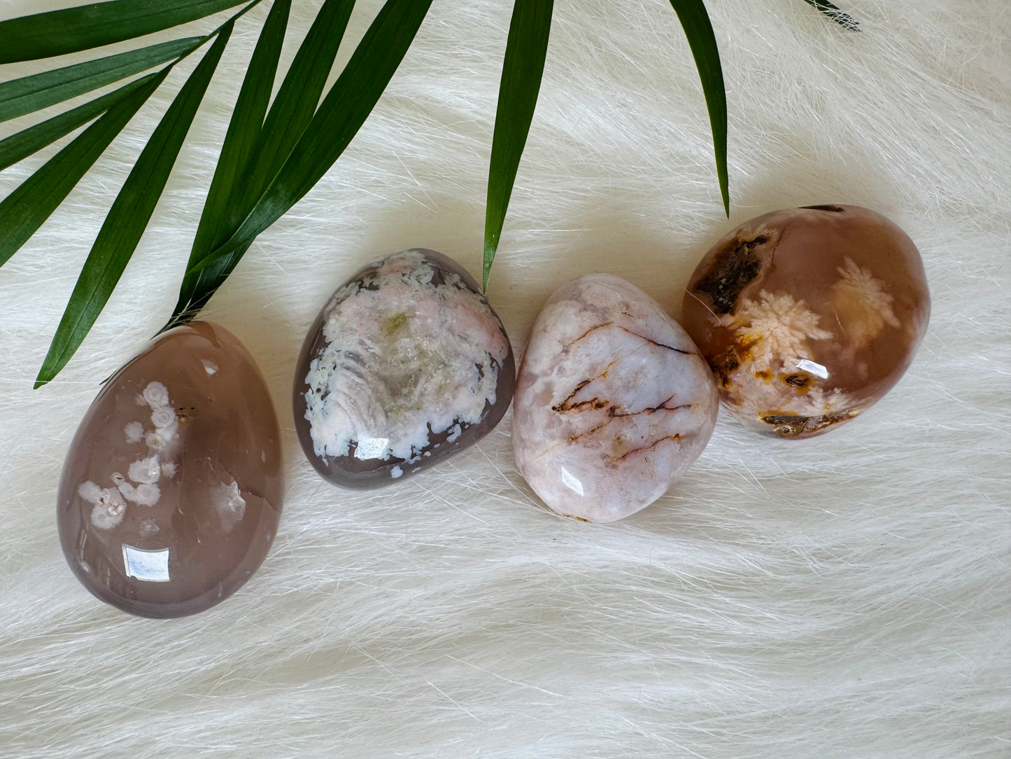 Flower Agate Tumbled - Moon Room Shop and Wellness