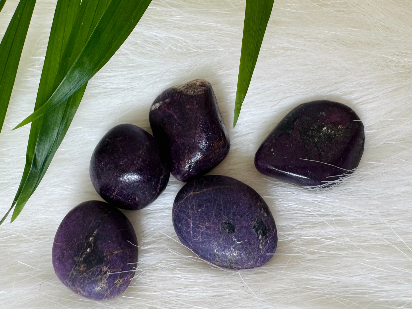 Purpurite Tumbled - Moon Room Shop and Wellness