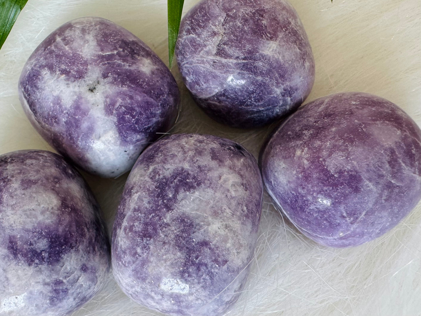 Lepidolite Tumbled Large - Moon Room Shop and Wellness