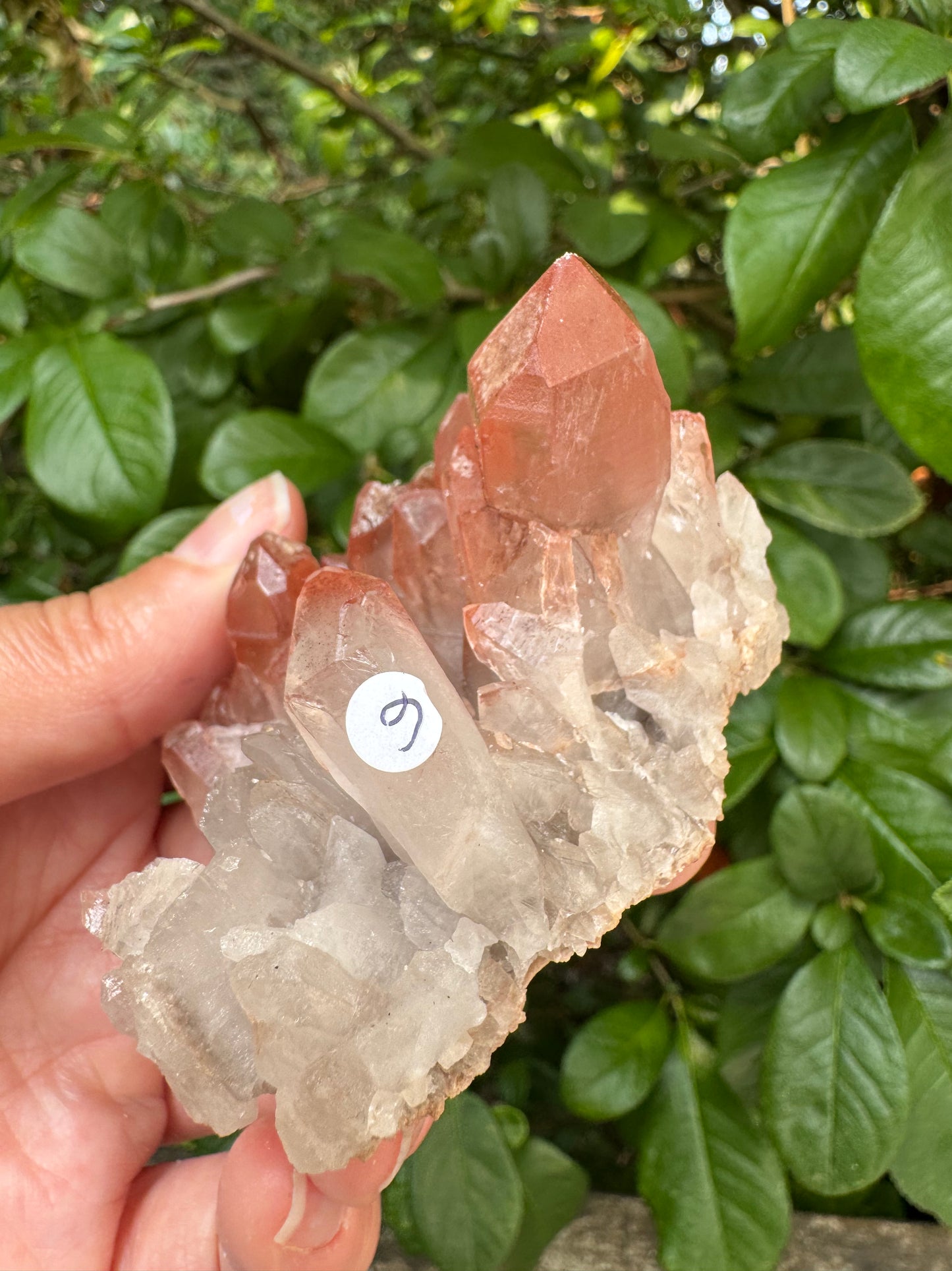 Pink Lithium Quartz Cluster 140 g - Brazil- Peaceful Beauty! - Moon Room Shop and Wellness