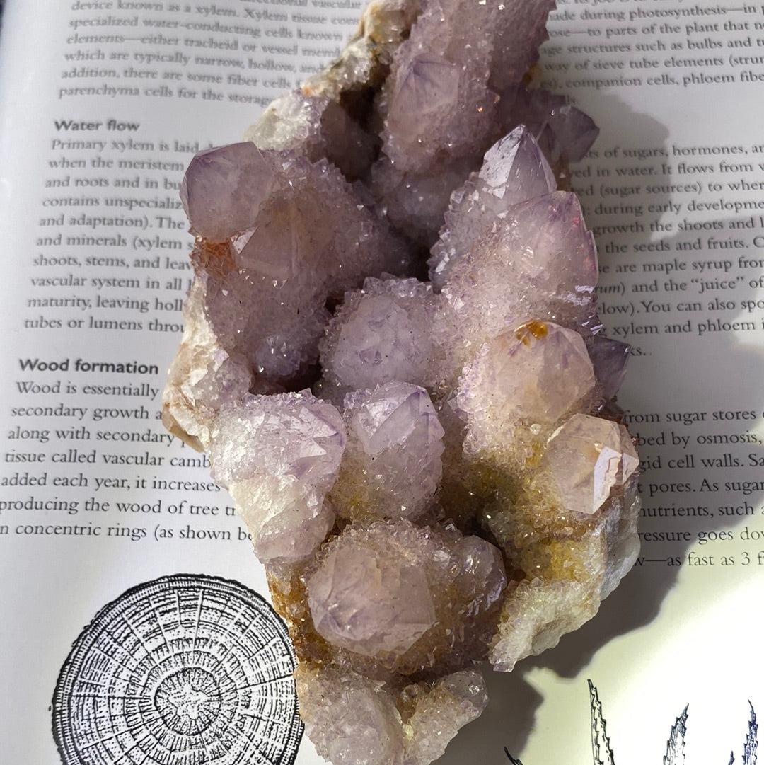 Spirit Quartz - 490 g- South Africa Crystal - Moon Room Shop and Wellness