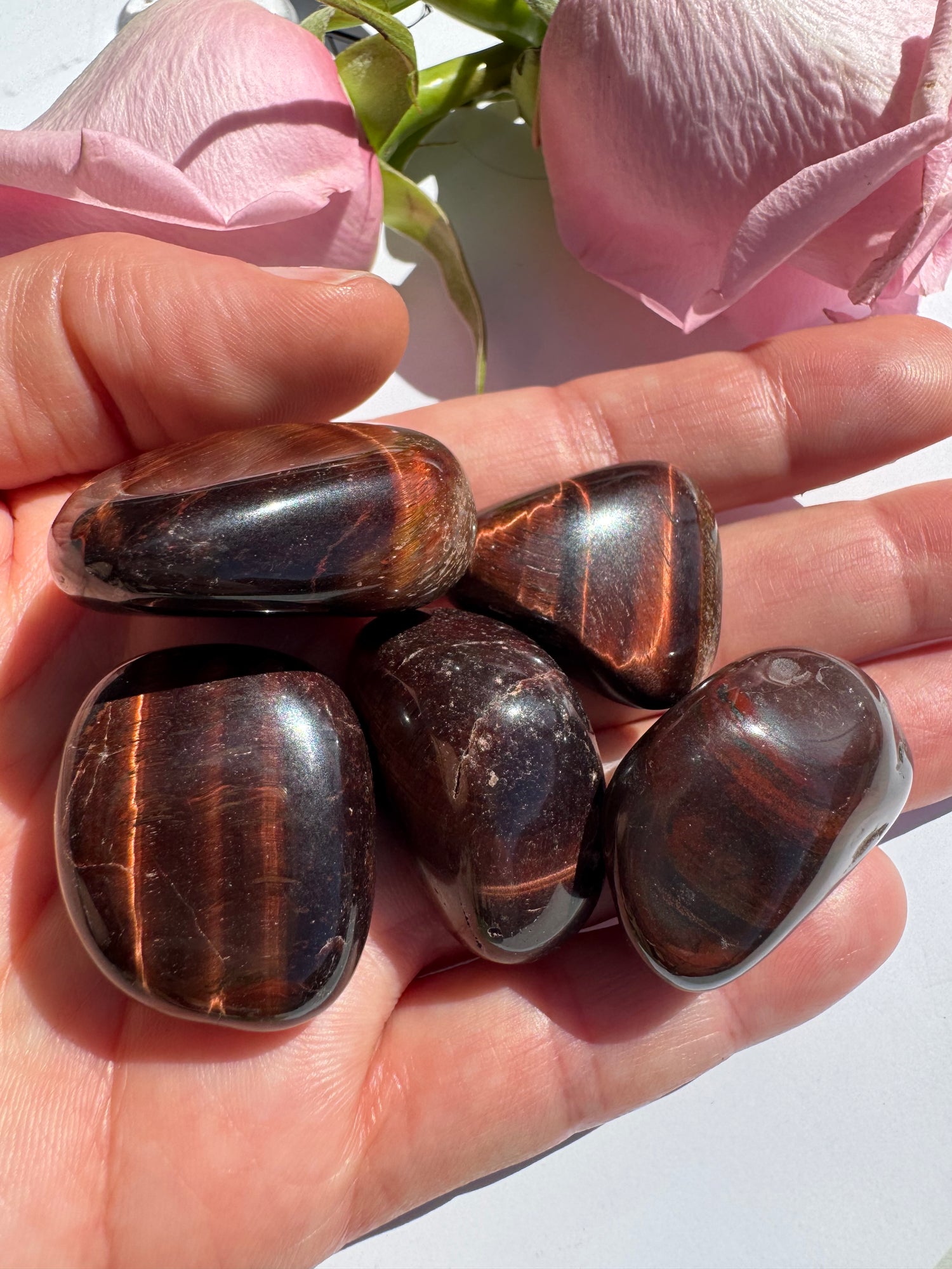 Red Tigers Eye Tumbled - Moon Room Shop and Wellness