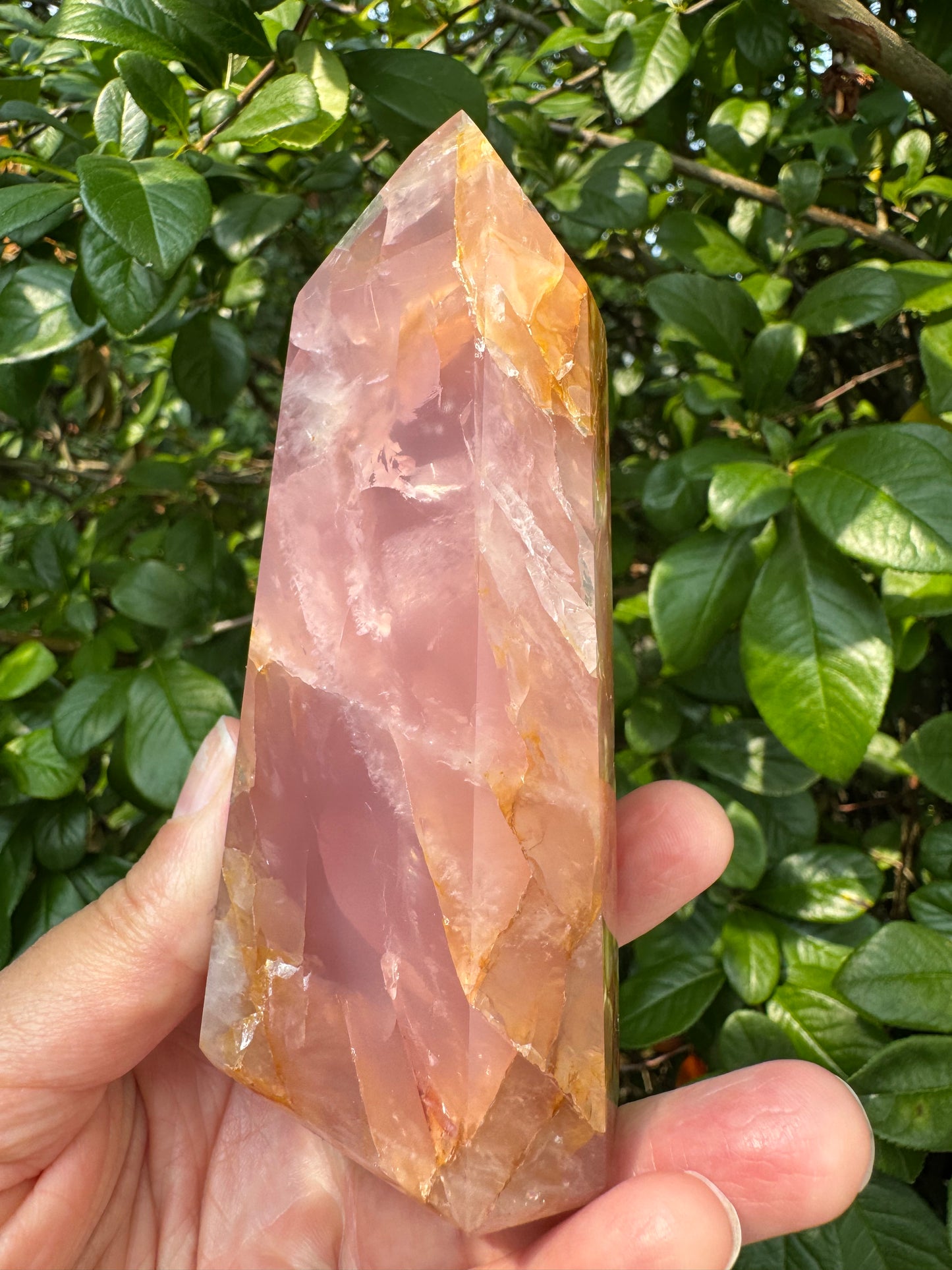 Guave Rose Quartz w Golden Healer - Gorgeous! 328 g - Brazil - Moon Room Shop and Wellness
