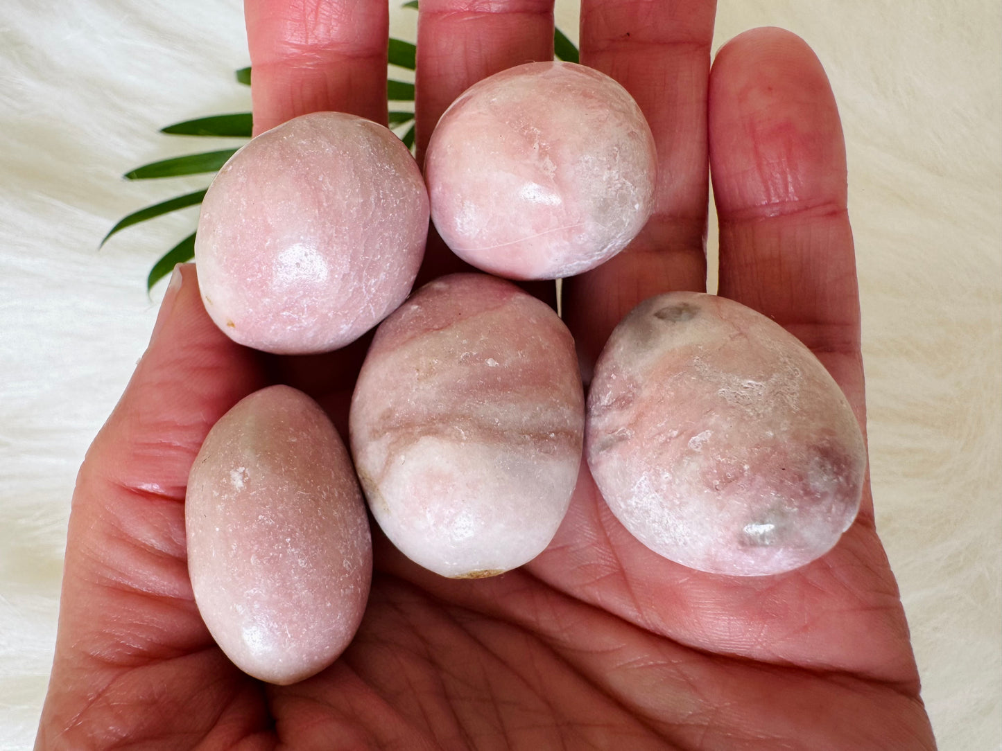Pink Opal Tumbled - Moon Room Shop and Wellness