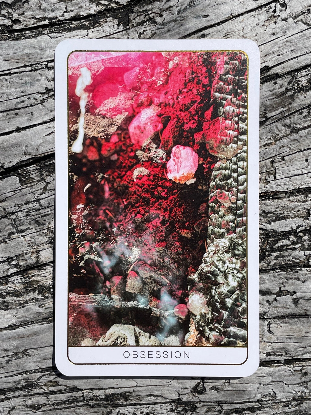 Death Doula Oracle - Moon Room Shop and Wellness
