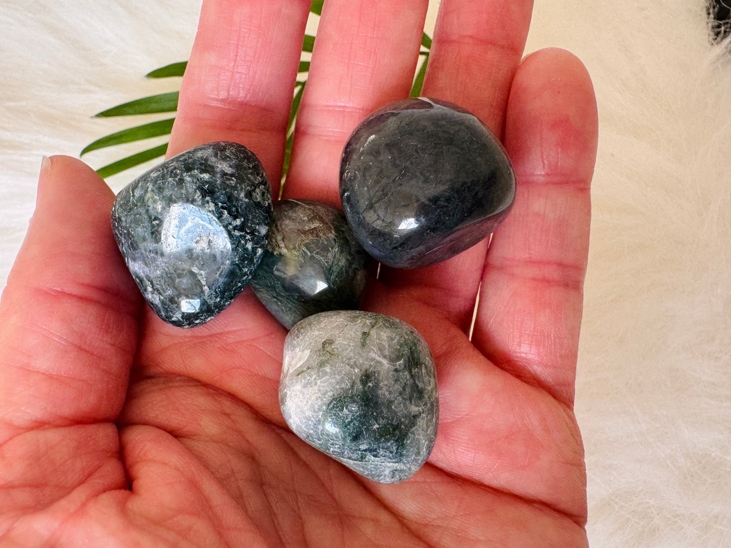 Moss Agate Tumbled - Moon Room Shop and Wellness
