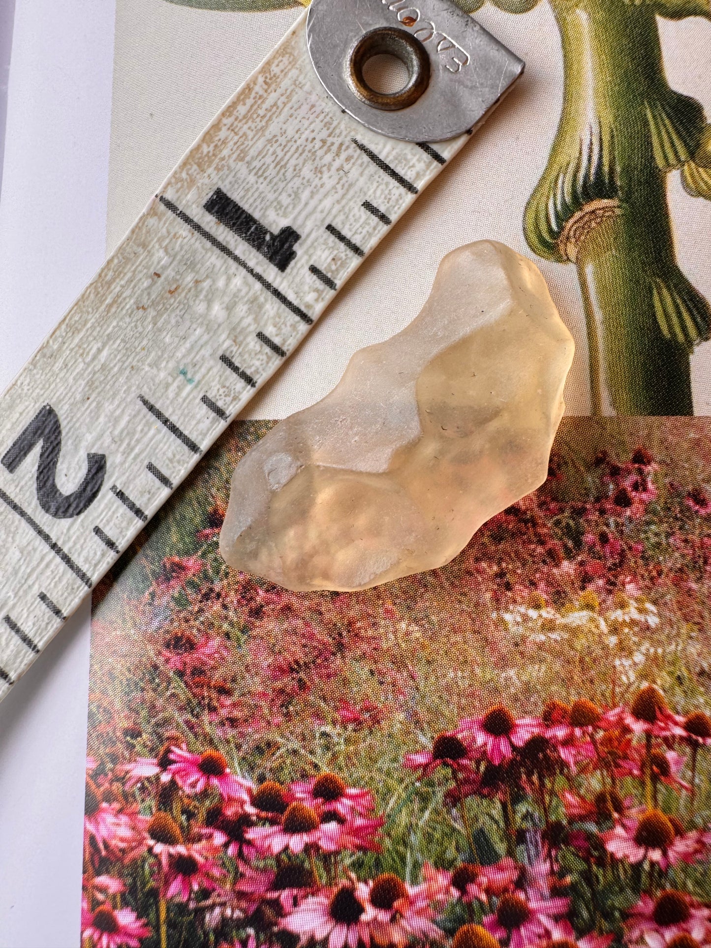 Libyan Desert Glass Tektite 3.6 gram - Moon Room Shop and Wellness