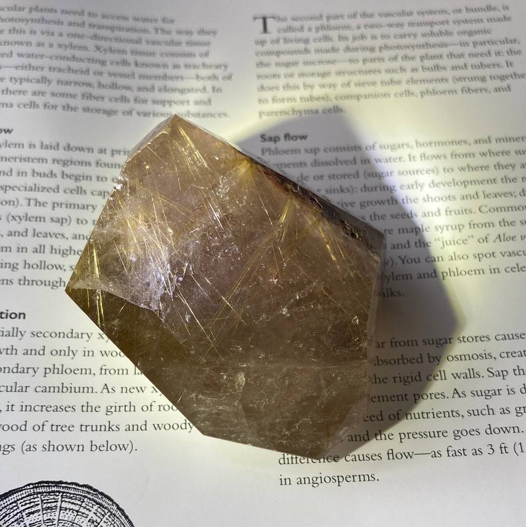Garden Quartz With Gold Rutile Freeform 241 g - Moon Room Shop and Wellness