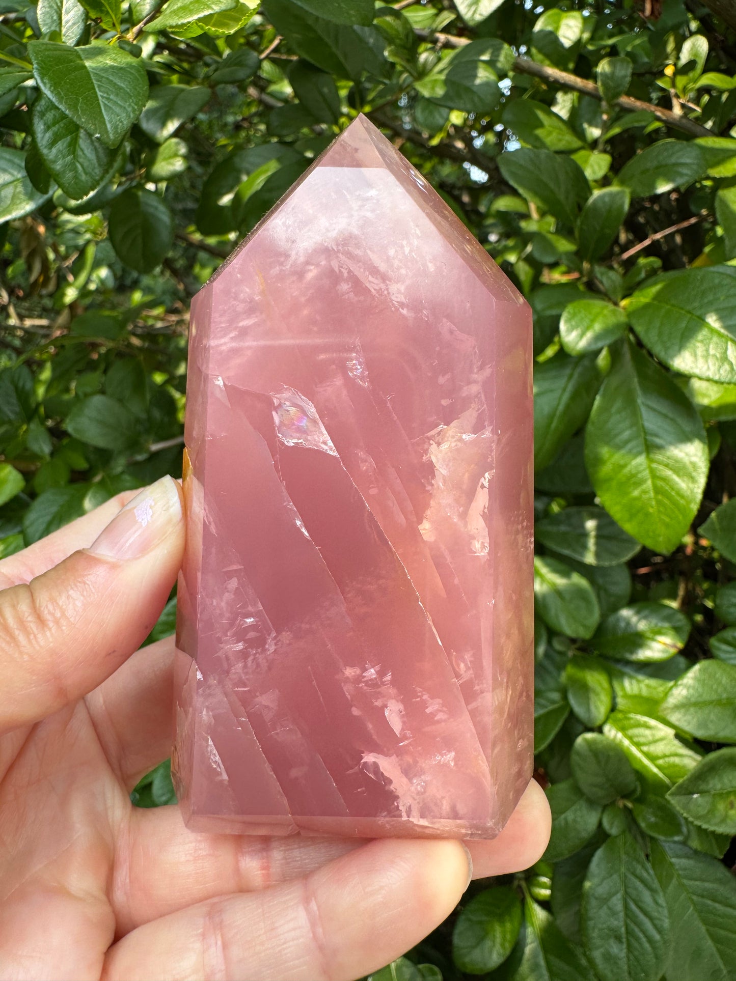 Guava Rose Quartz w Golden Healer - Gorgeous! 304 g - Brazil - Moon Room Shop and Wellness
