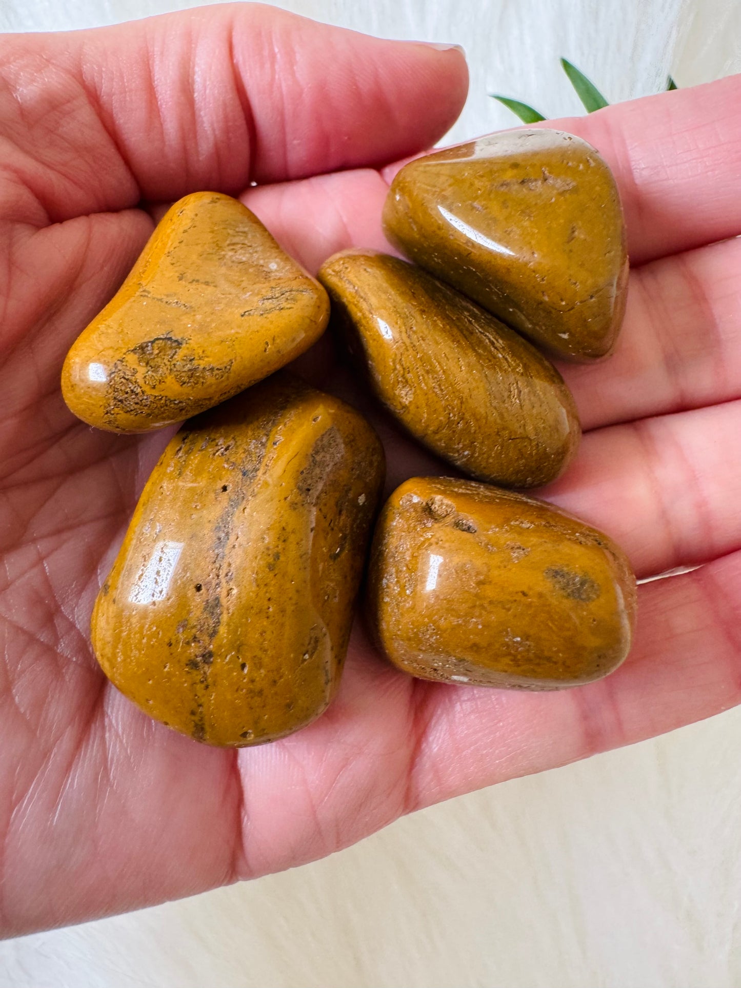 Yellow Jasper Tumbled - Moon Room Shop and Wellness