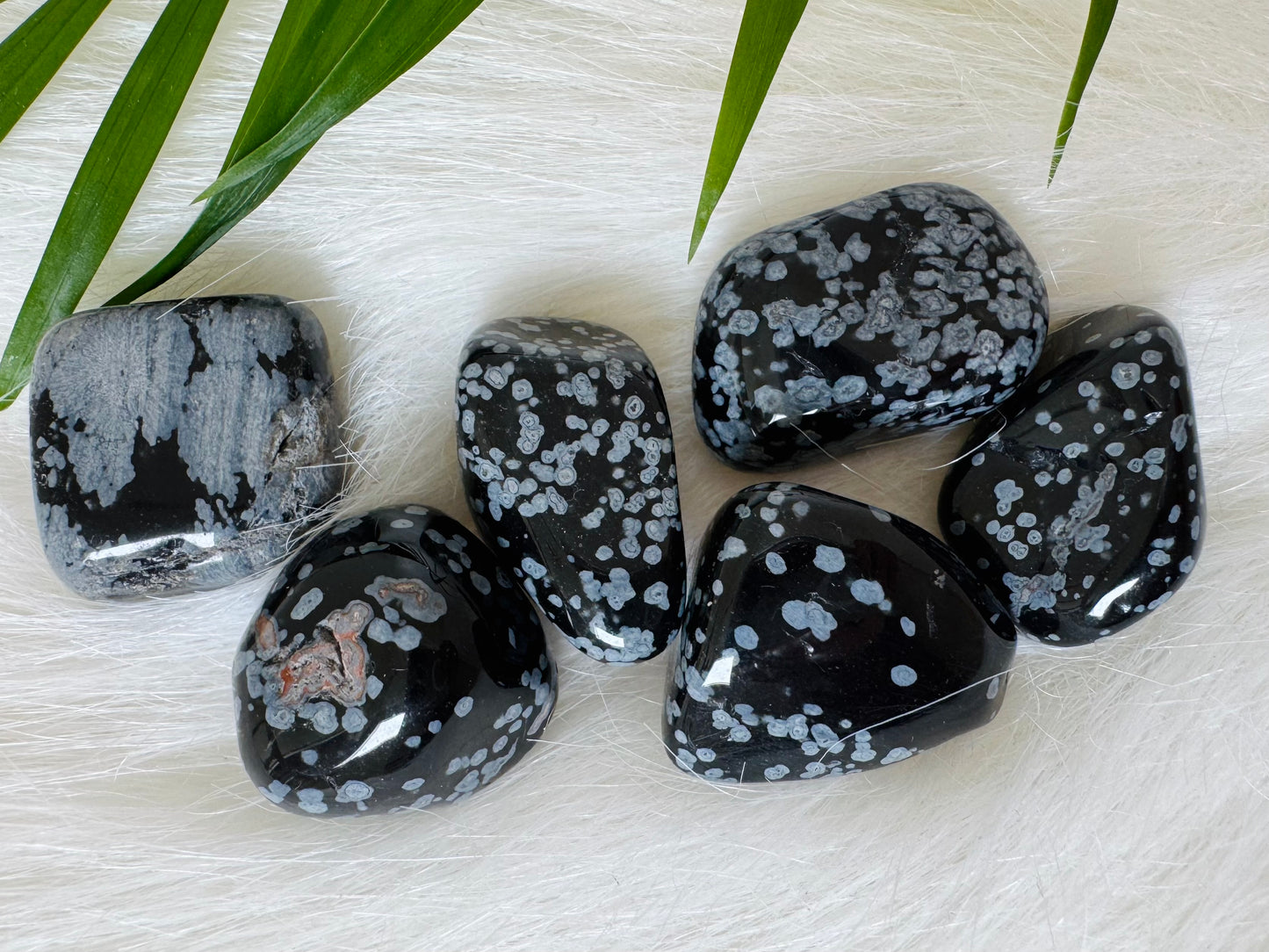 Snowflake Obsidian Tumbled - Moon Room Shop and Wellness