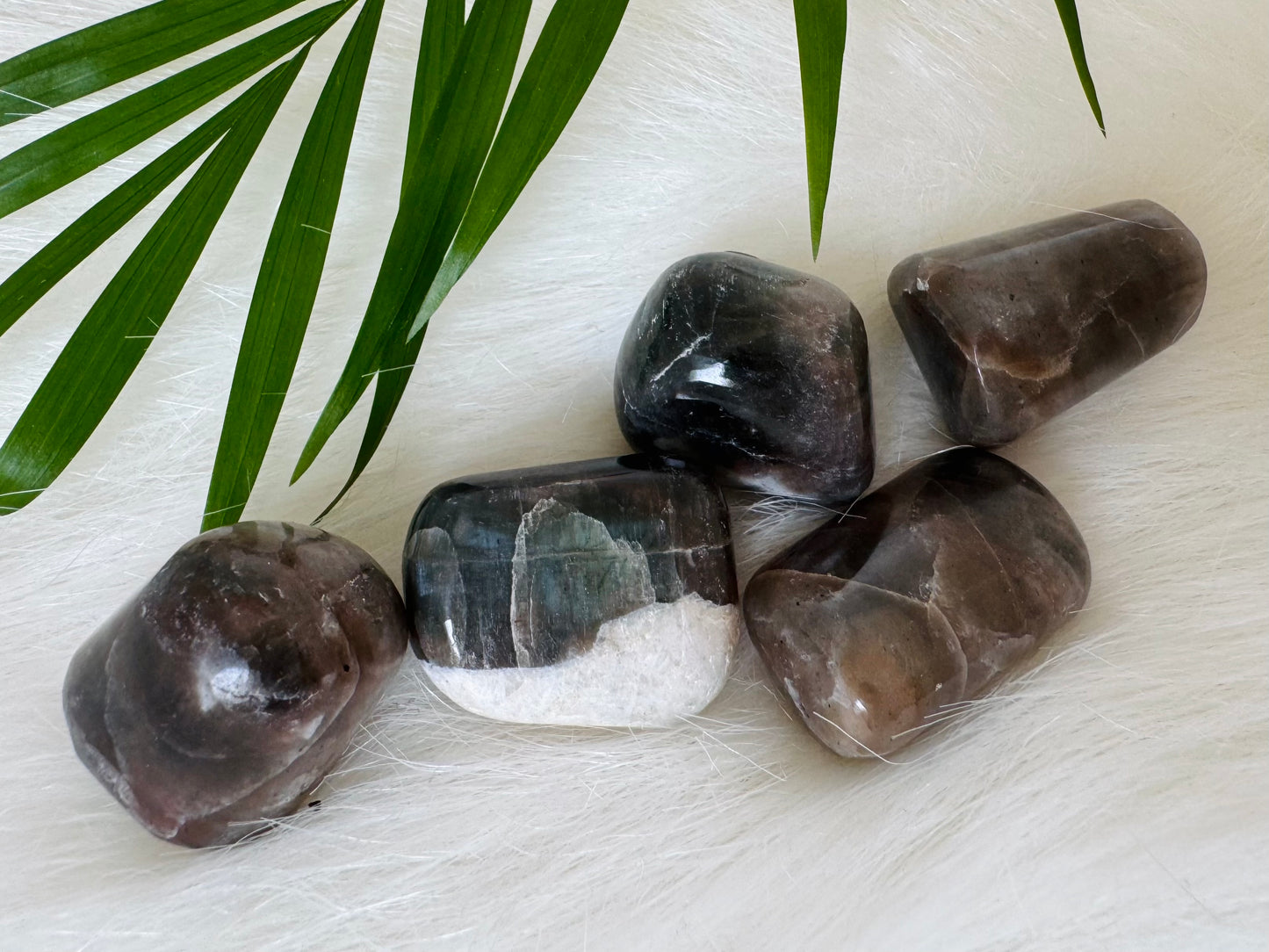 Cat's Eye Chrysoberyl Tumbled - Moon Room Shop and Wellness