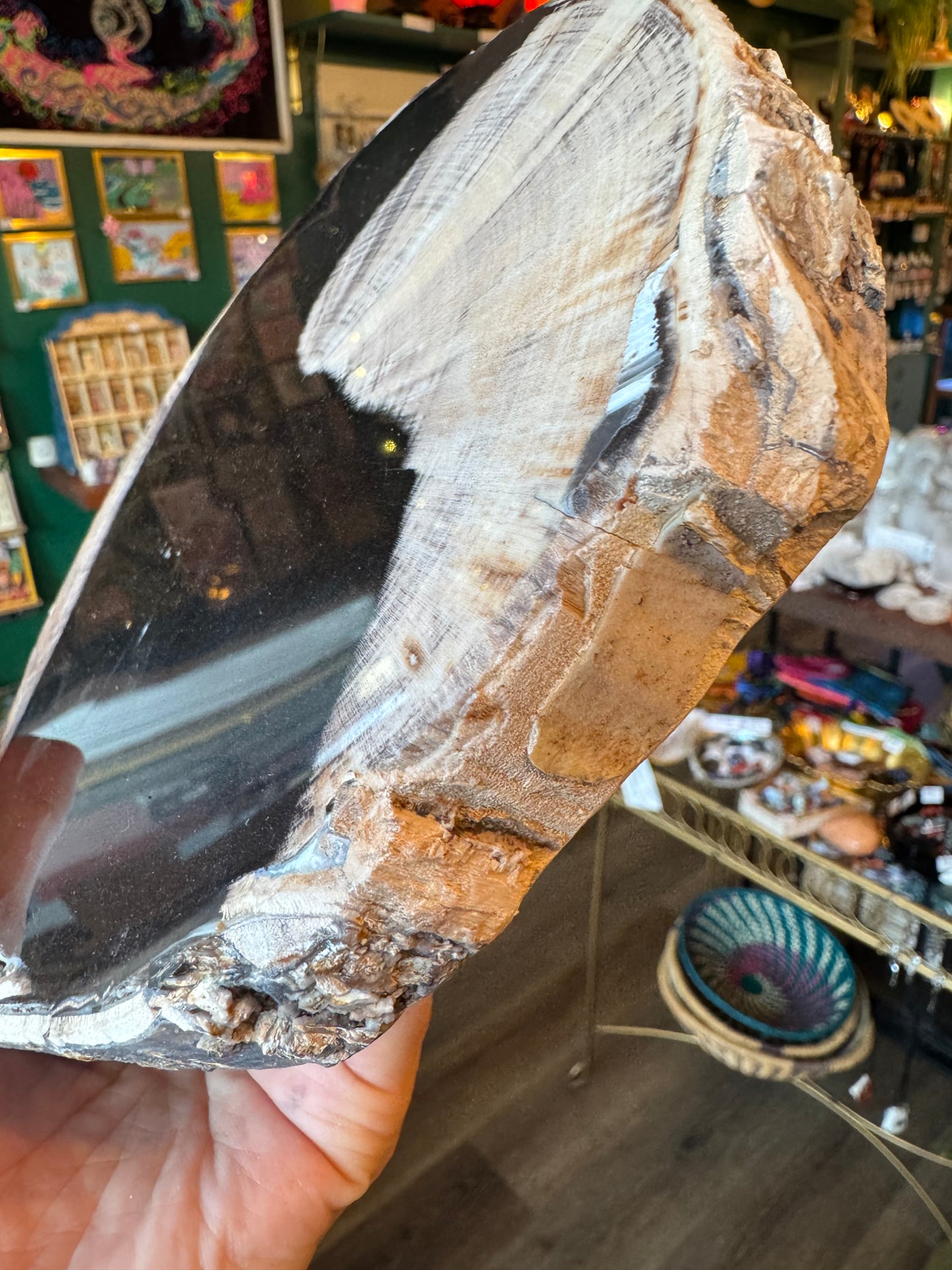 Petrified Wood Slab 2.5 lb with stand - Mexico - Moon Room Shop and Wellness