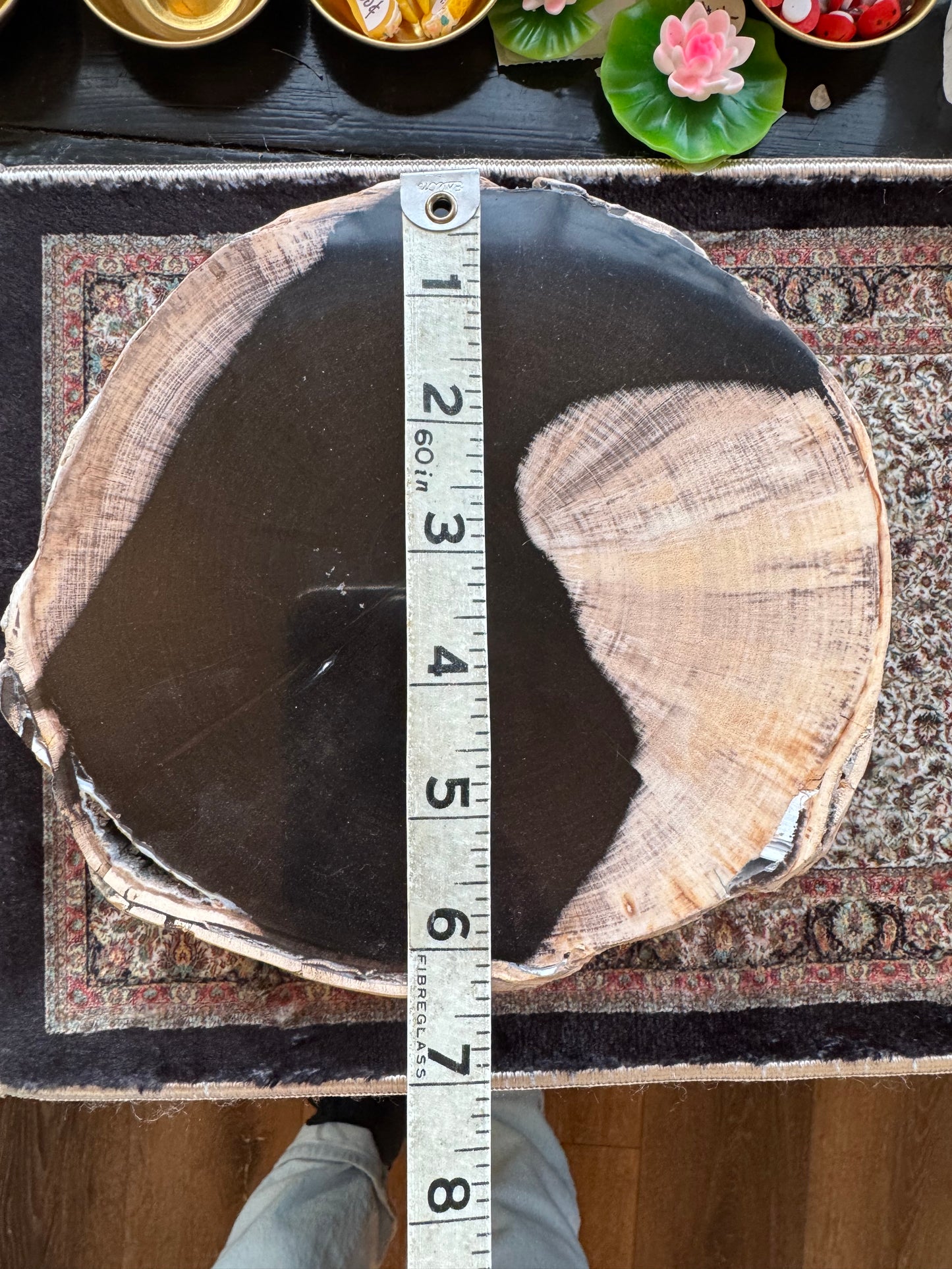 Petrified Wood Slab 2.5 lb with stand - Mexico - Moon Room Shop and Wellness