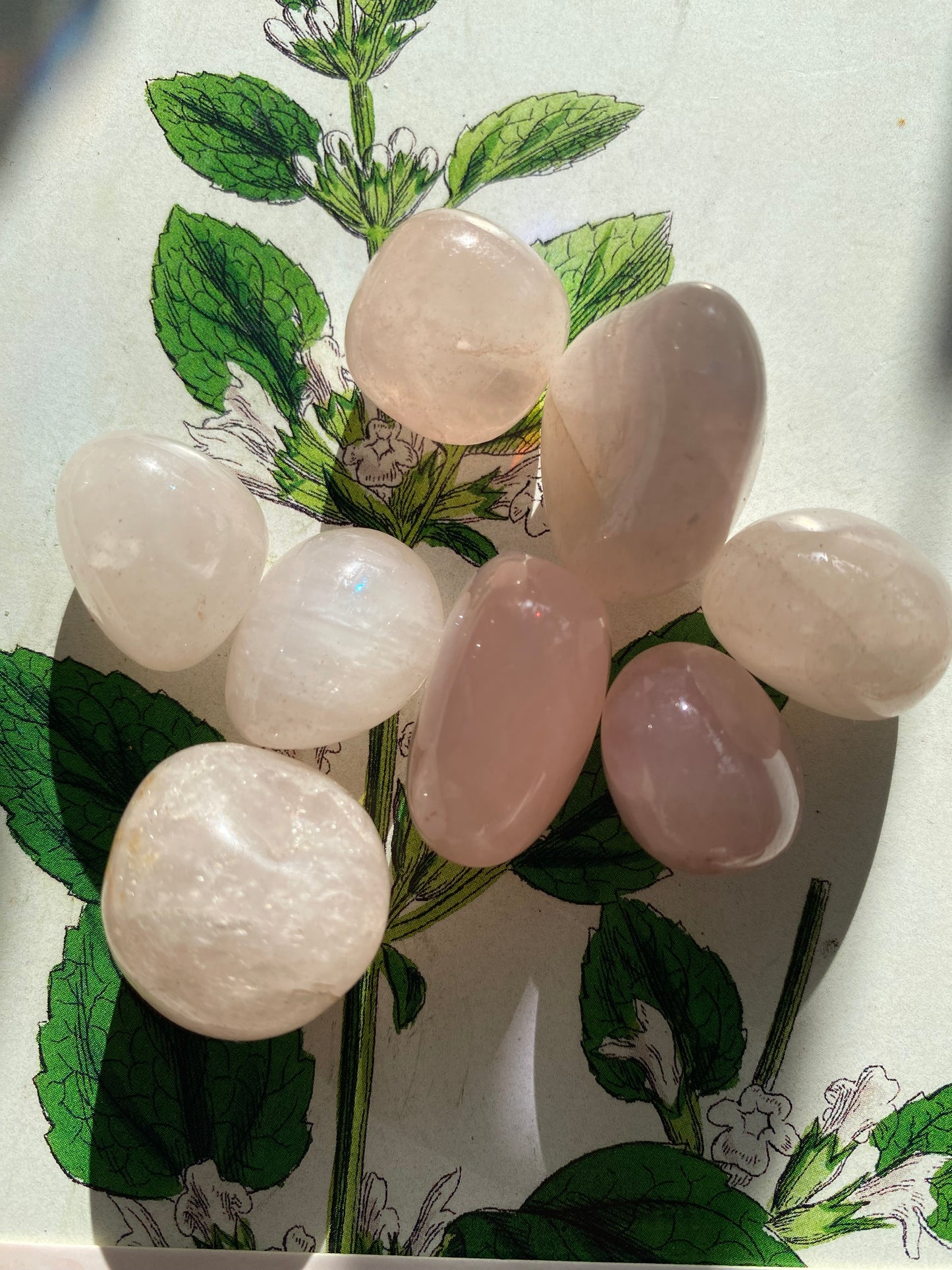 Rose Quartz Tumbled - Moon Room Shop and Wellness