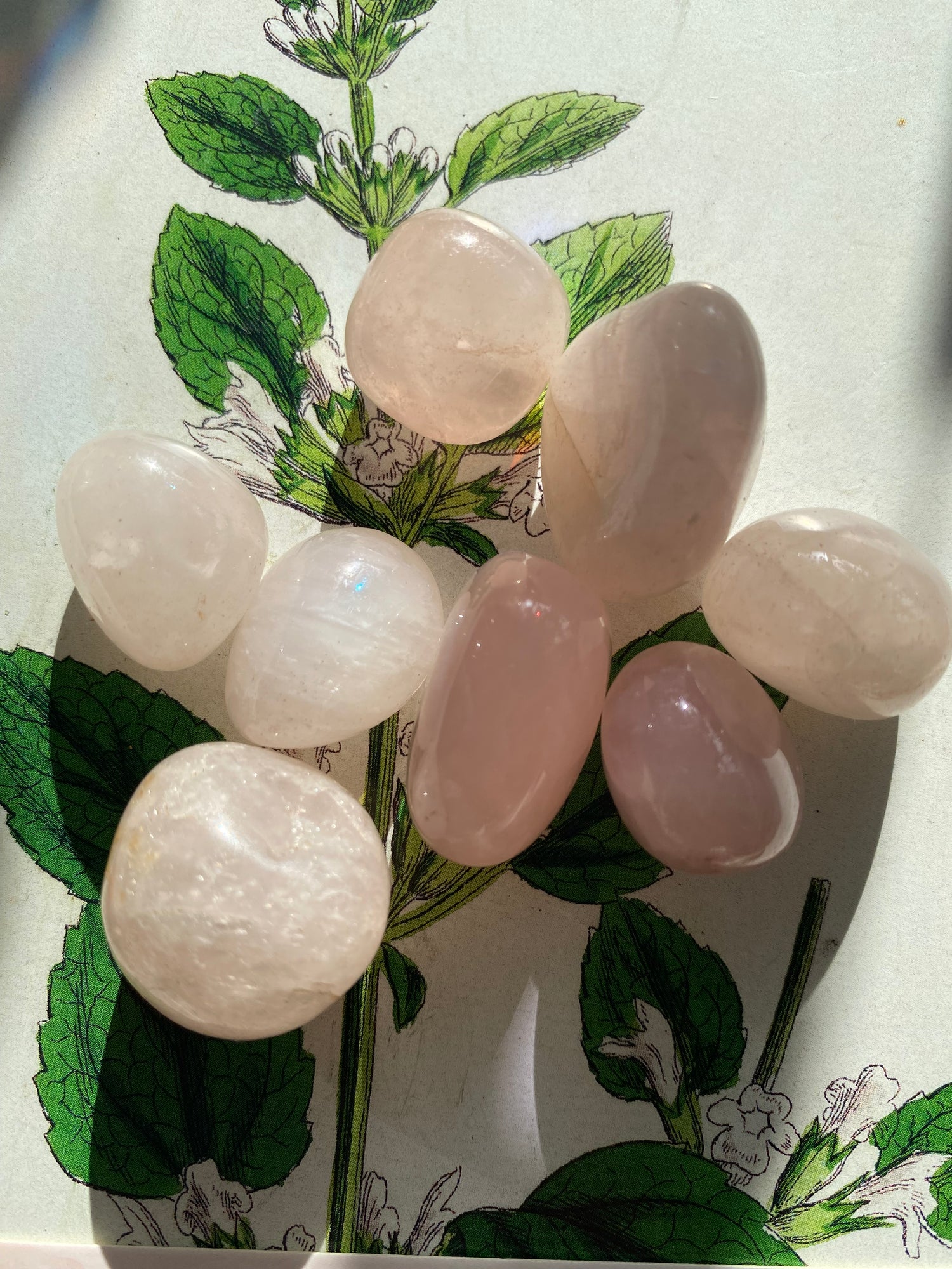 Rose Quartz Tumbled - Moon Room Shop and Wellness