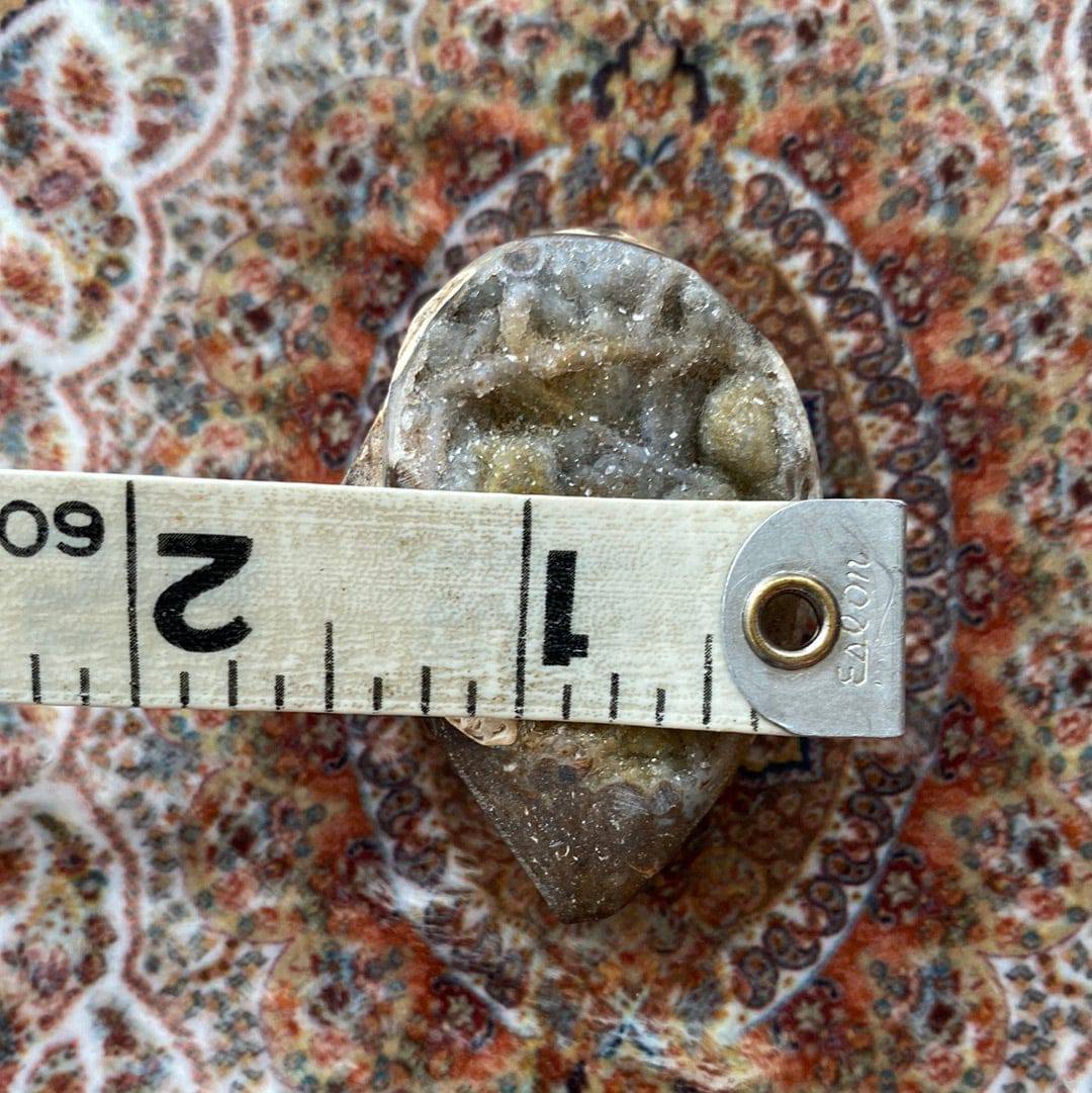 Spiralite Fossilized Gemshell 39 g - Moon Room Shop and Wellness
