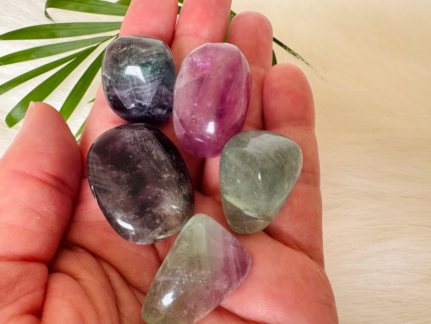 Fluorite Tumbled - Moon Room Shop and Wellness