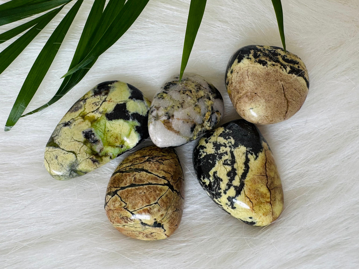 Serpentine Tumbled - Moon Room Shop and Wellness