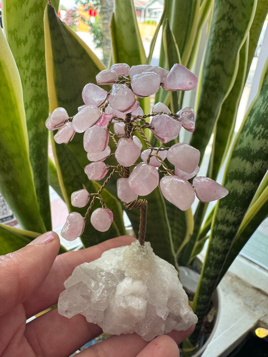 Rose Quartz Gem Tree on Clear Quartz -So Sweeeet!! - Moon Room Shop and Wellness
