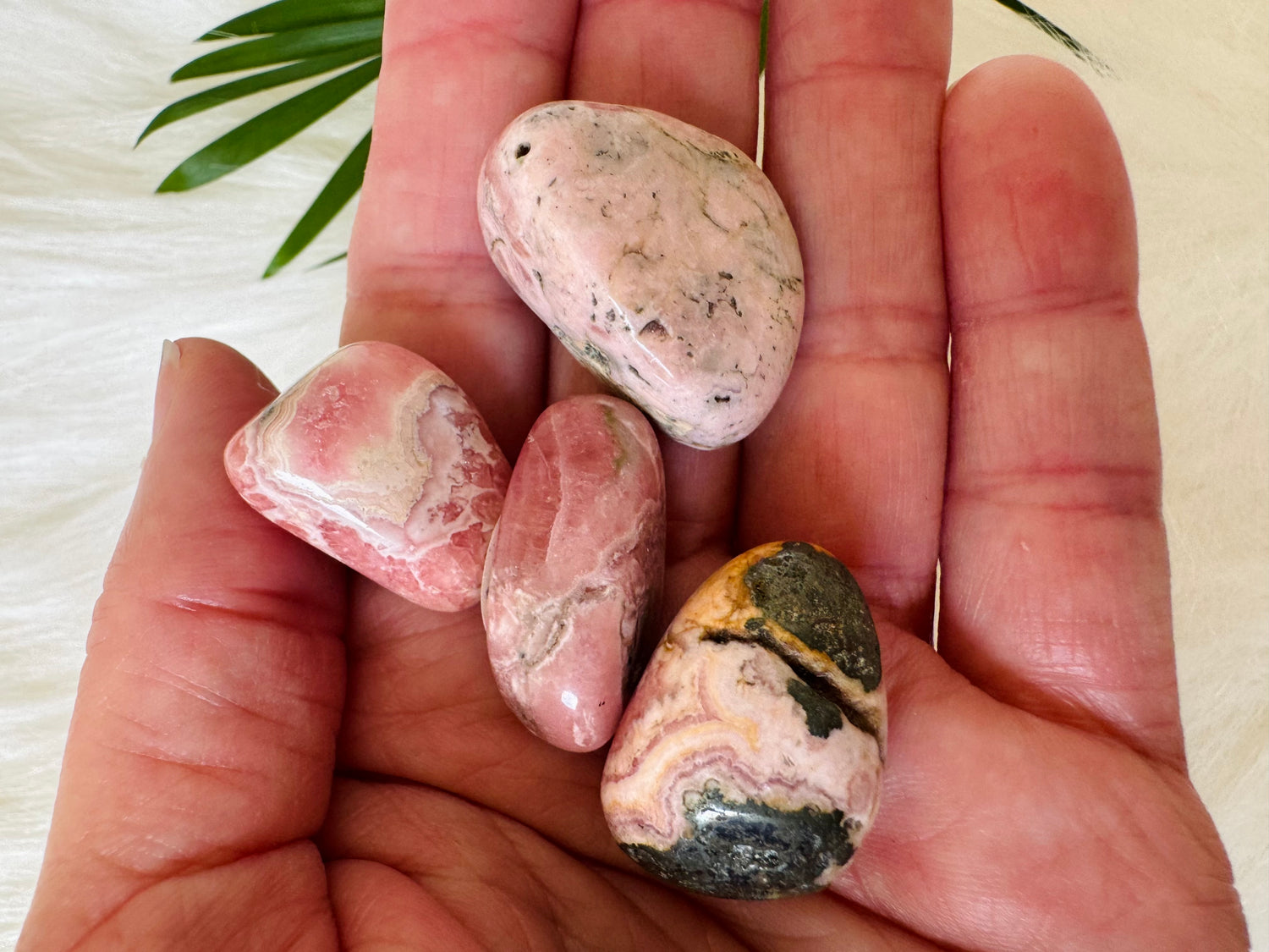Rhodochrosite Tumbled Large - Moon Room Shop and Wellness