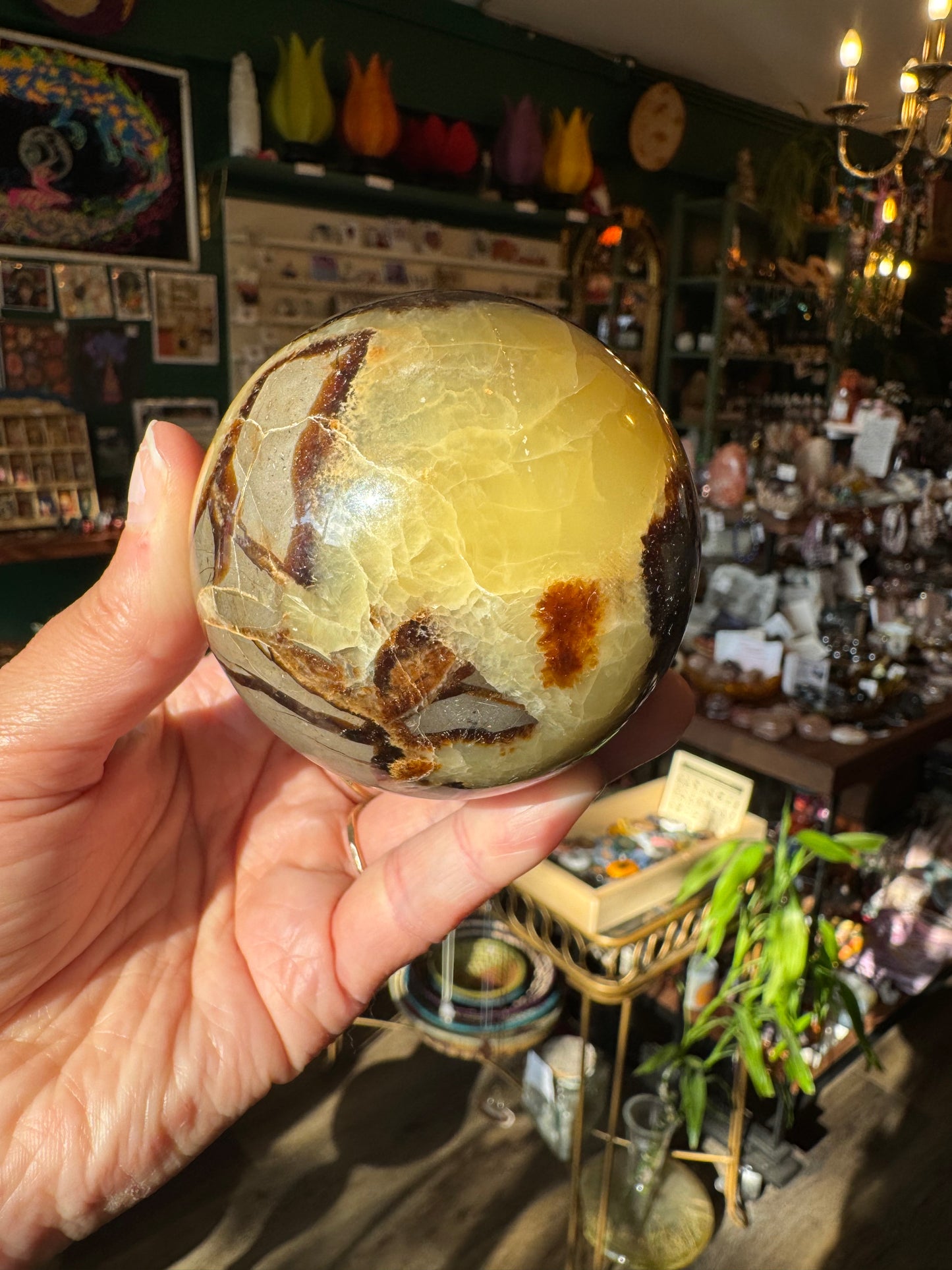 Septarian Sphere 405 g