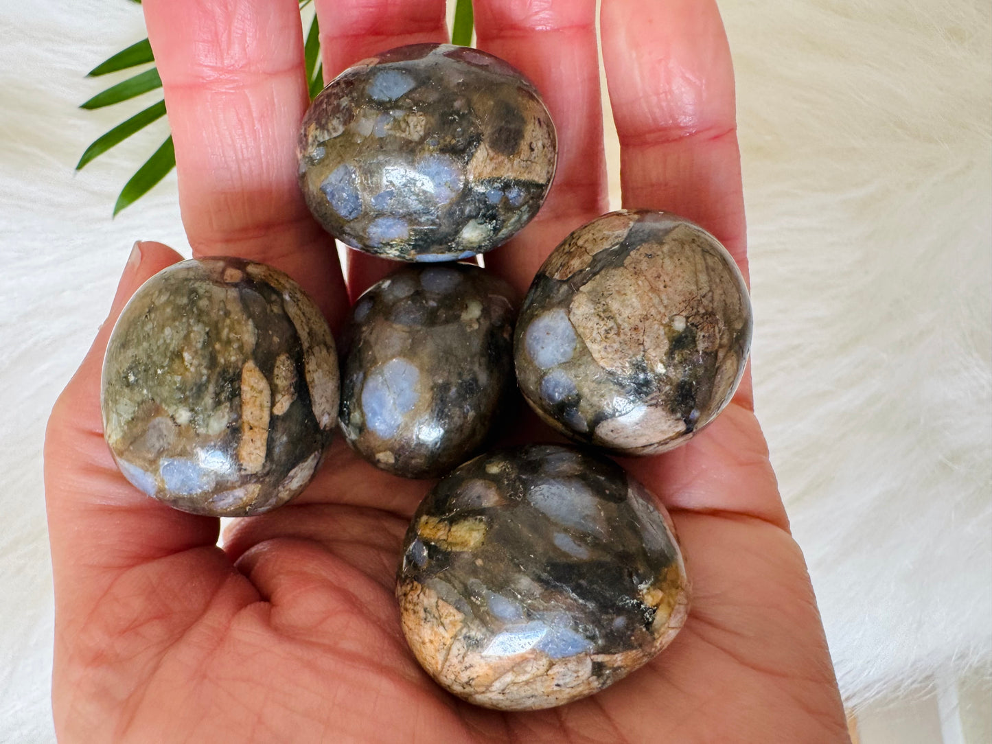 Llanite Tumbled - Moon Room Shop and Wellness