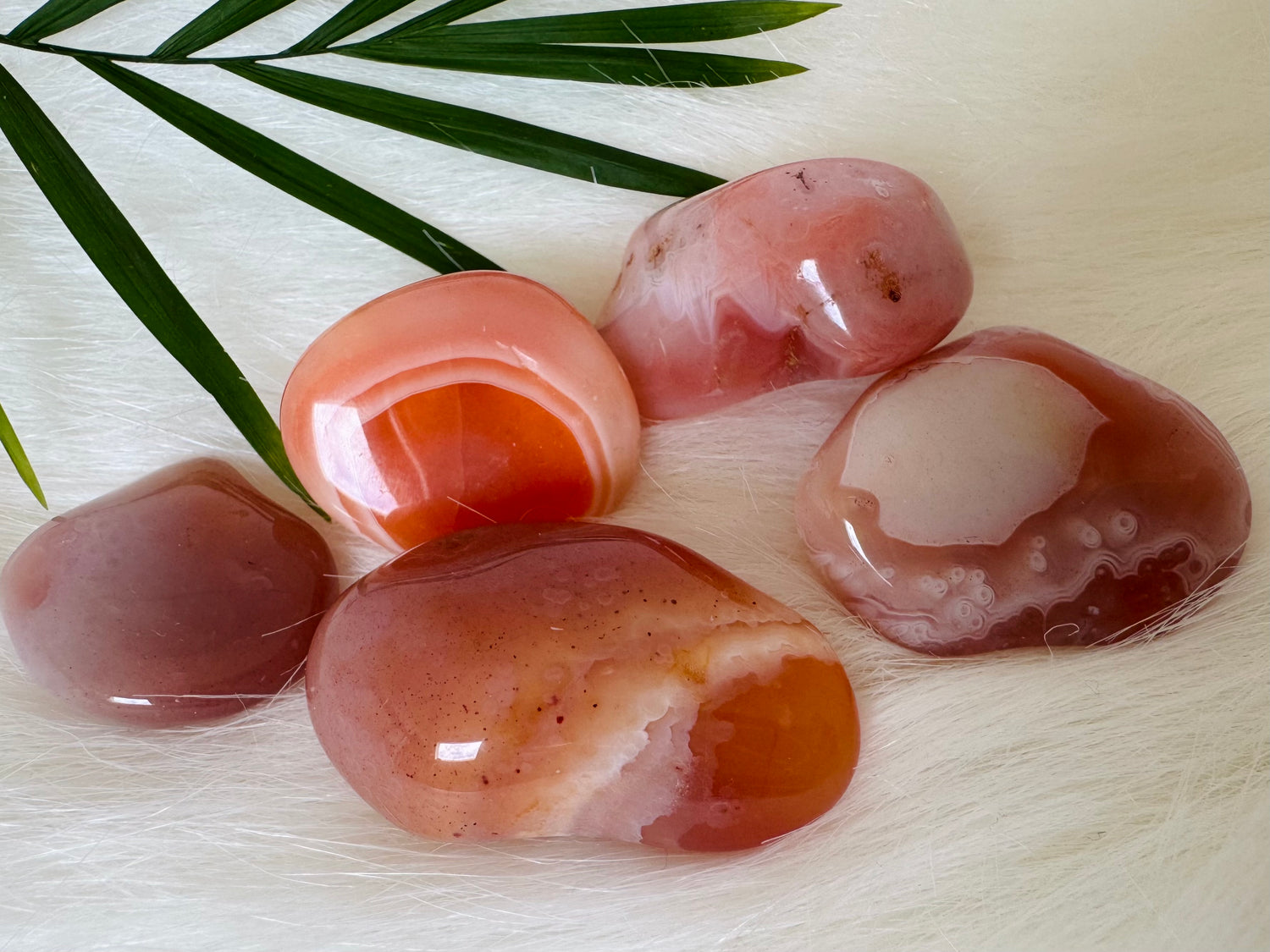 Apricot Agate Tumbled - Moon Room Shop and Wellness