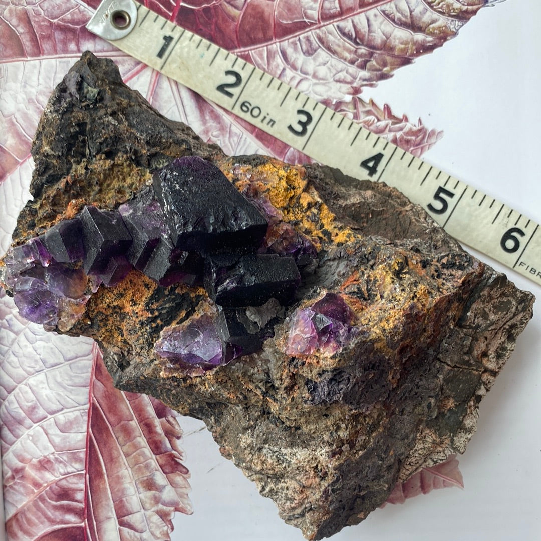 Purple Cubic Fluorite Specimen - Moon Room Shop and Wellness