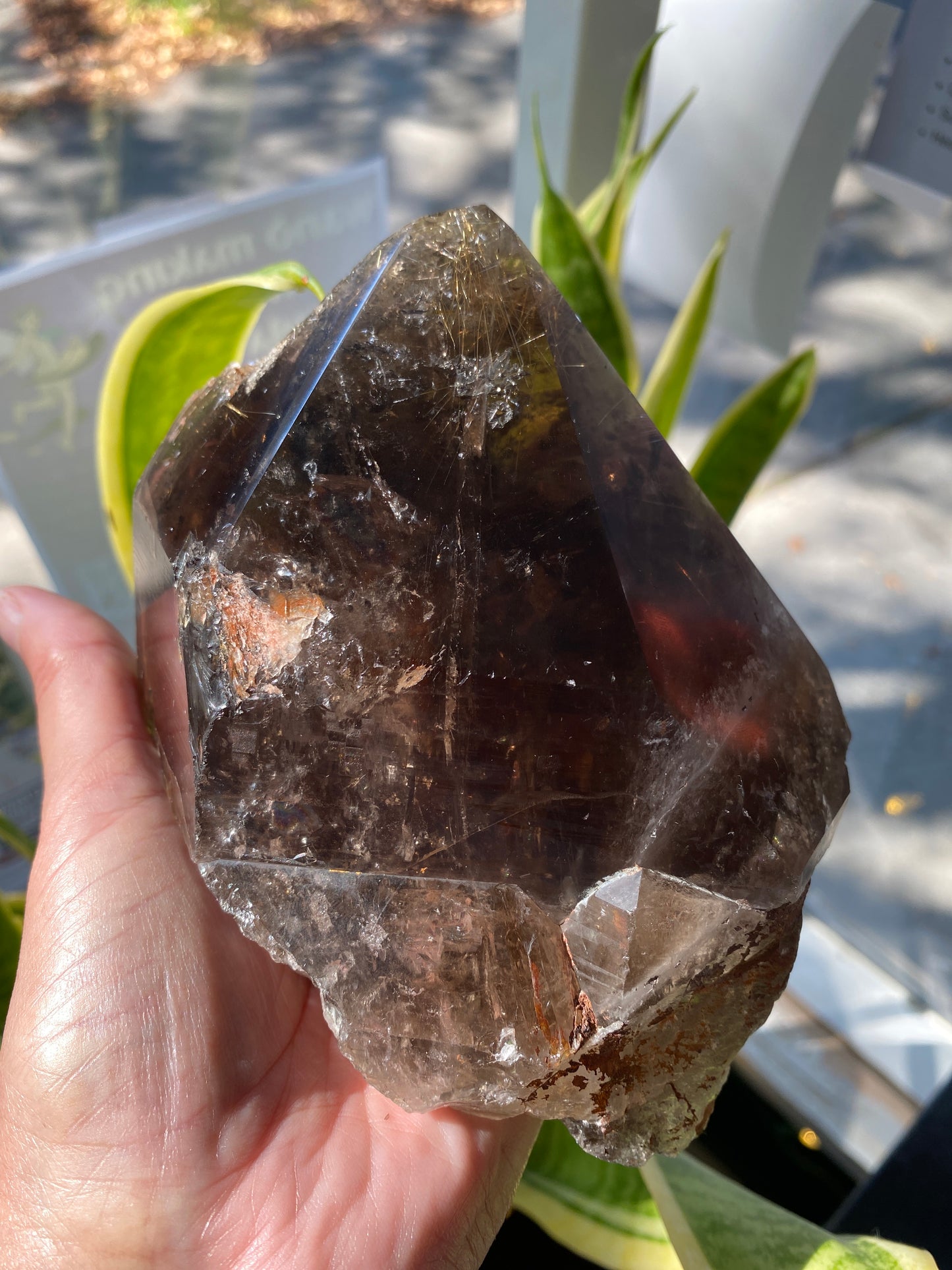 Smoky Quartz Rutilated Point 2.3 lb Brazil Spectacular Beauty - Moon Room Shop and Wellness