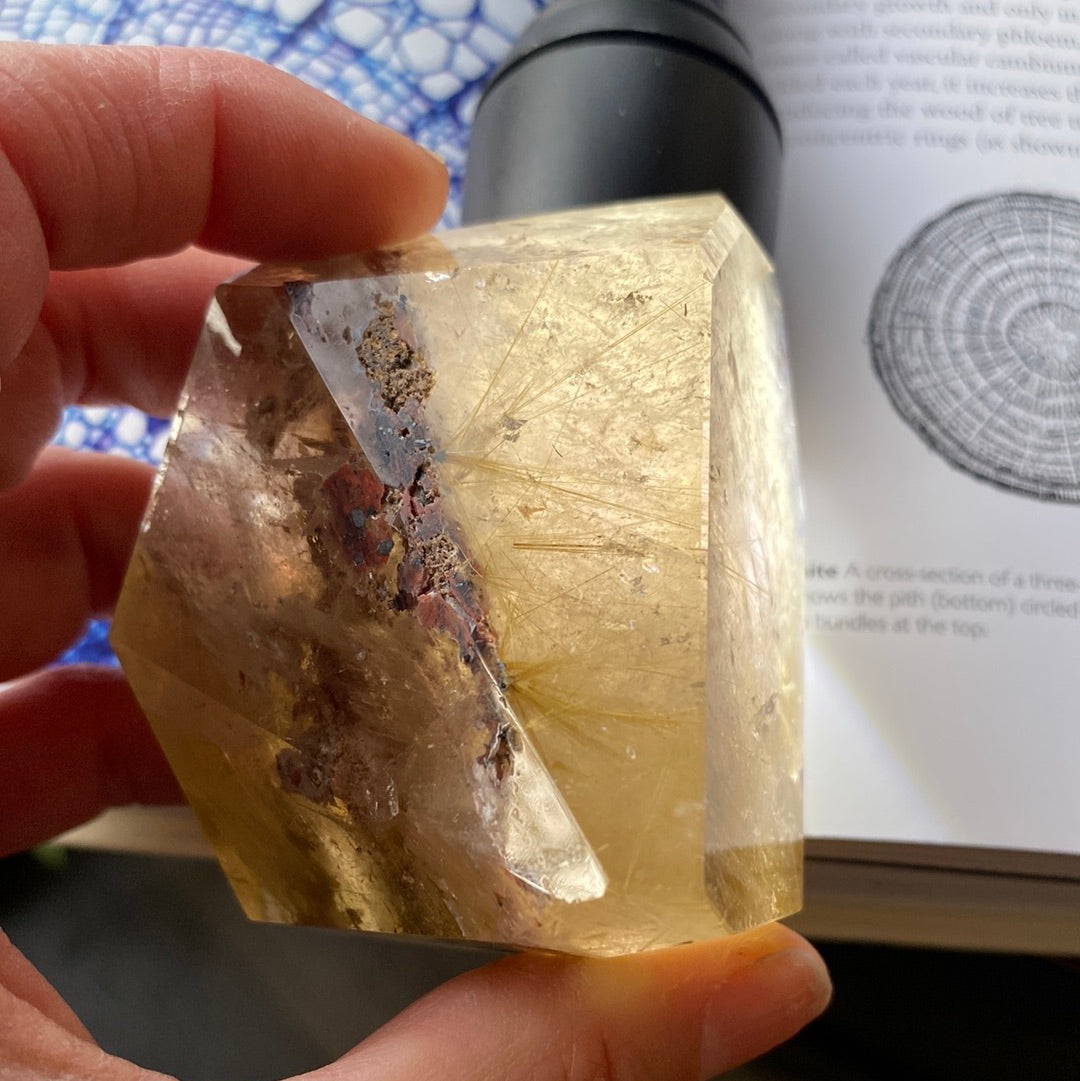 Gold Rutilated Garden Quartz Freeform 241 g - Moon Room Shop and Wellness