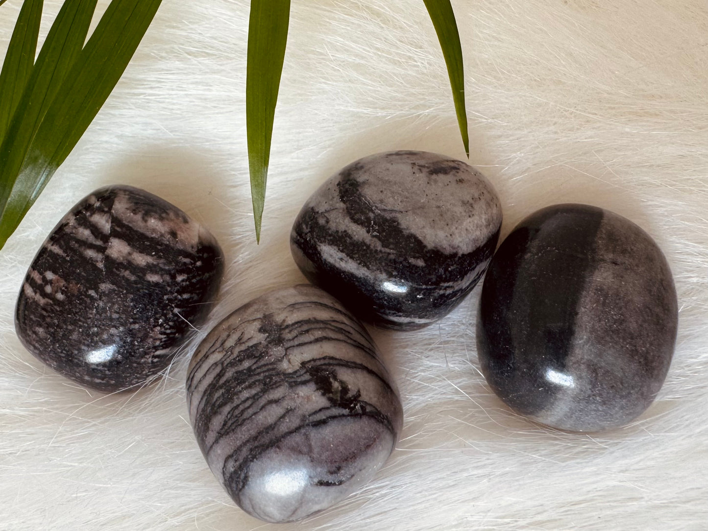 Picasso Jasper Tumbled - Moon Room Shop and Wellness