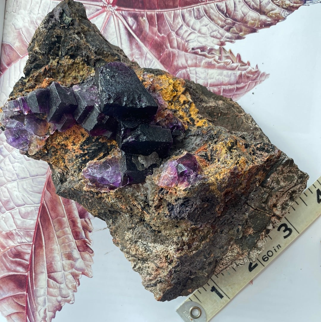 Purple Cubic Fluorite Specimen - Moon Room Shop and Wellness