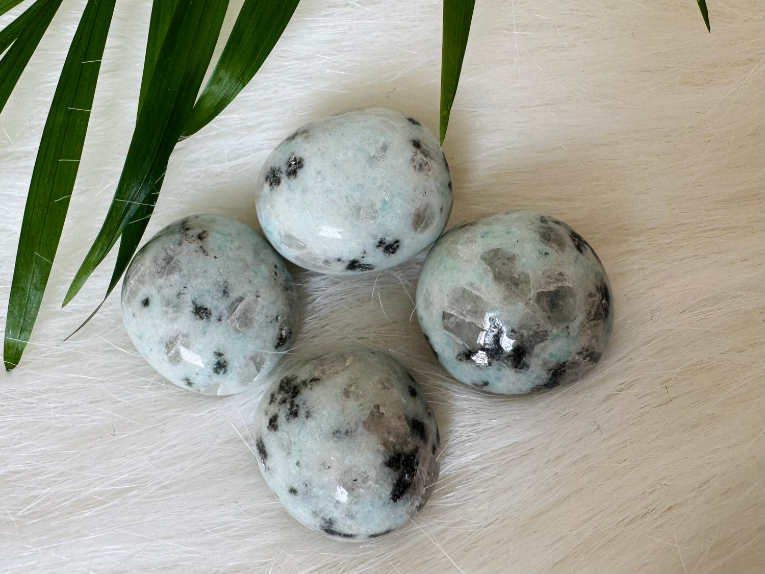Kiwi Jasper Tumbled - Moon Room Shop and Wellness