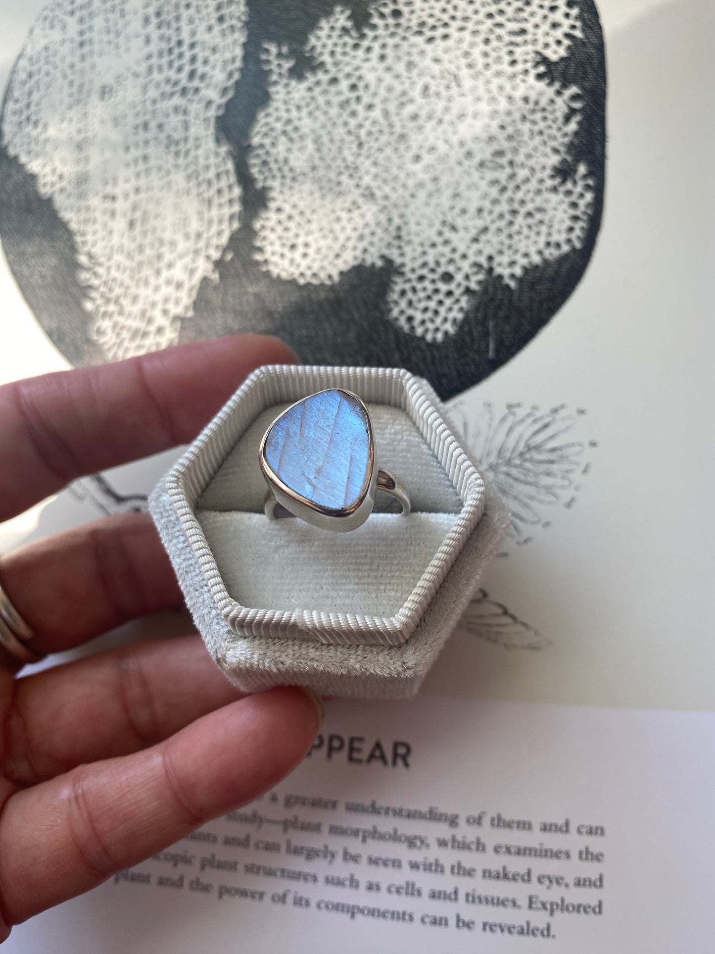 African Rainbow Moonstone Sterling Silver Ring Size 7 - Moon Room Shop and Wellness