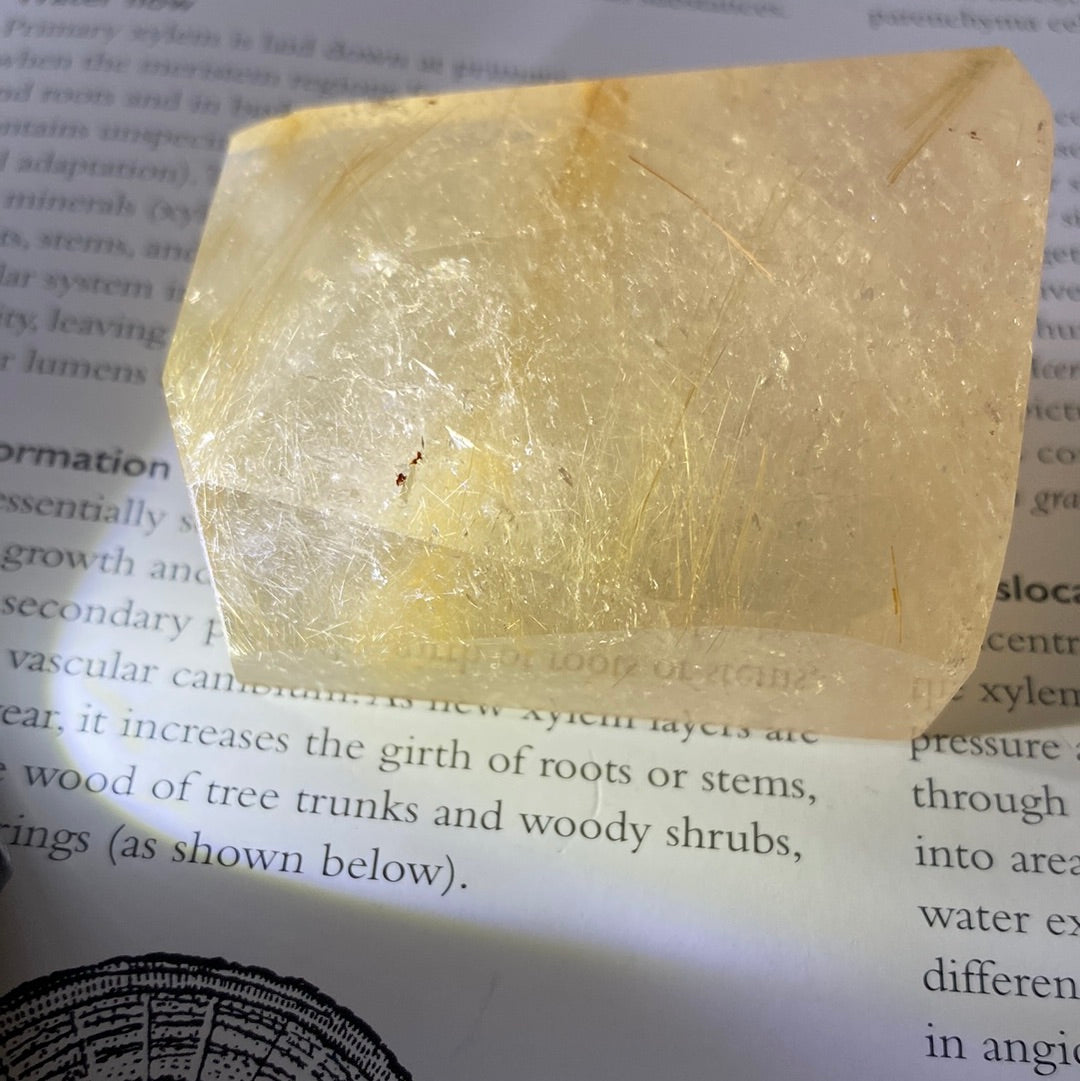 Gold Rutilated Quartz Freeform 115 g - Moon Room Shop and Wellness