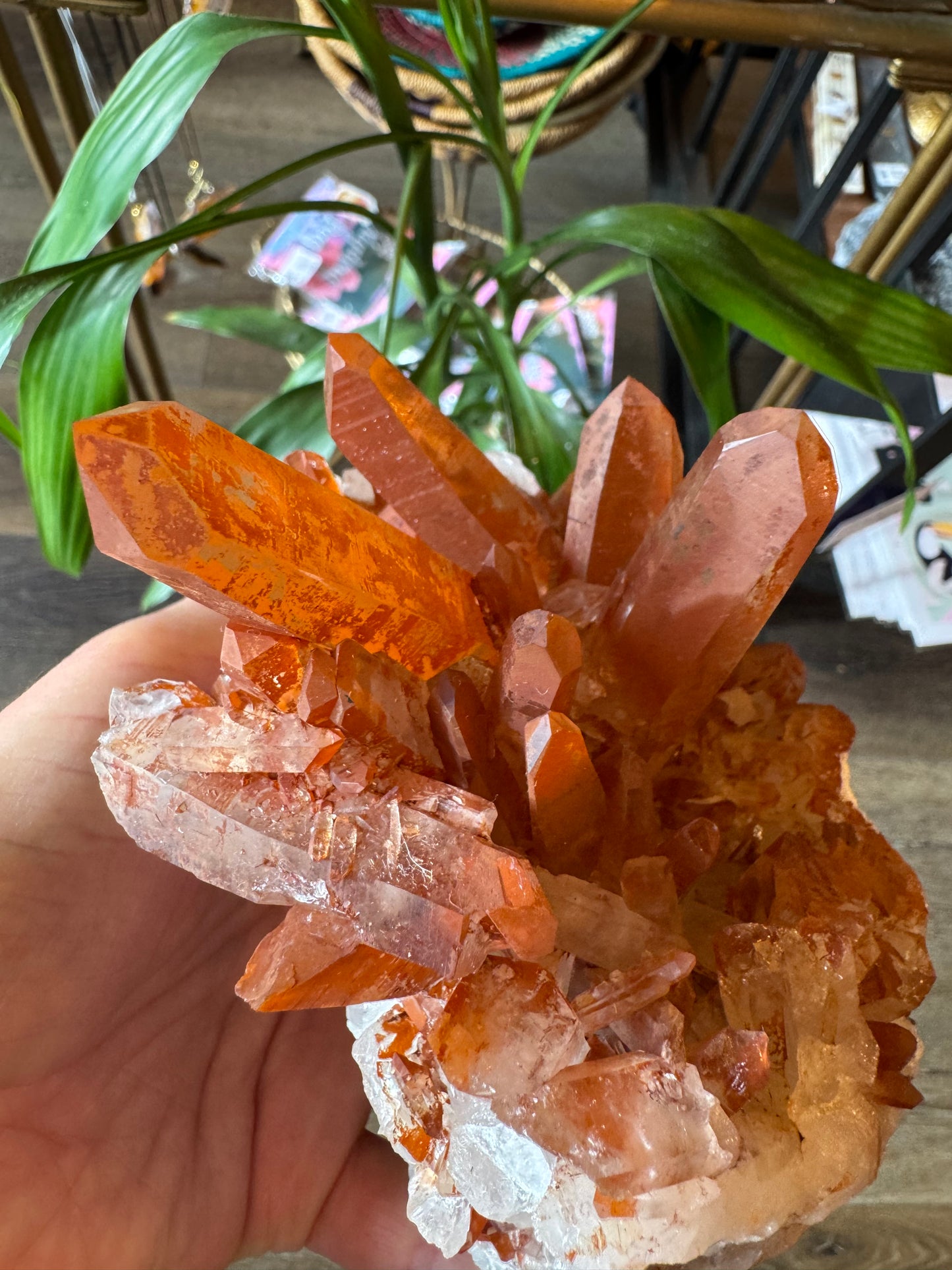 Tangerine Quartz Cluster 1.93 lbs Stunner! - Moon Room Shop and Wellness