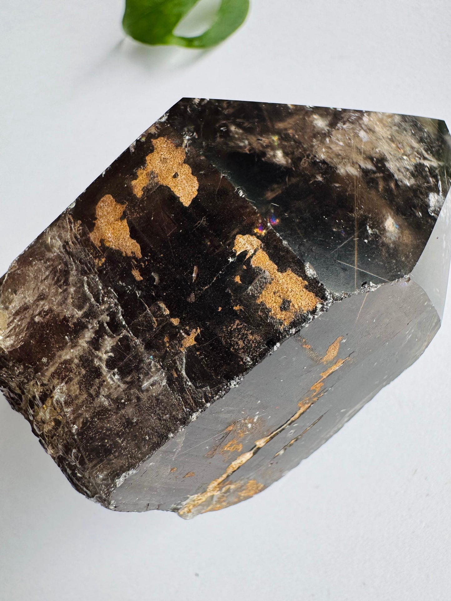 Smoky Quartz Rutilated Beauty 176 g. Brazil - Moon Room Shop and Wellness