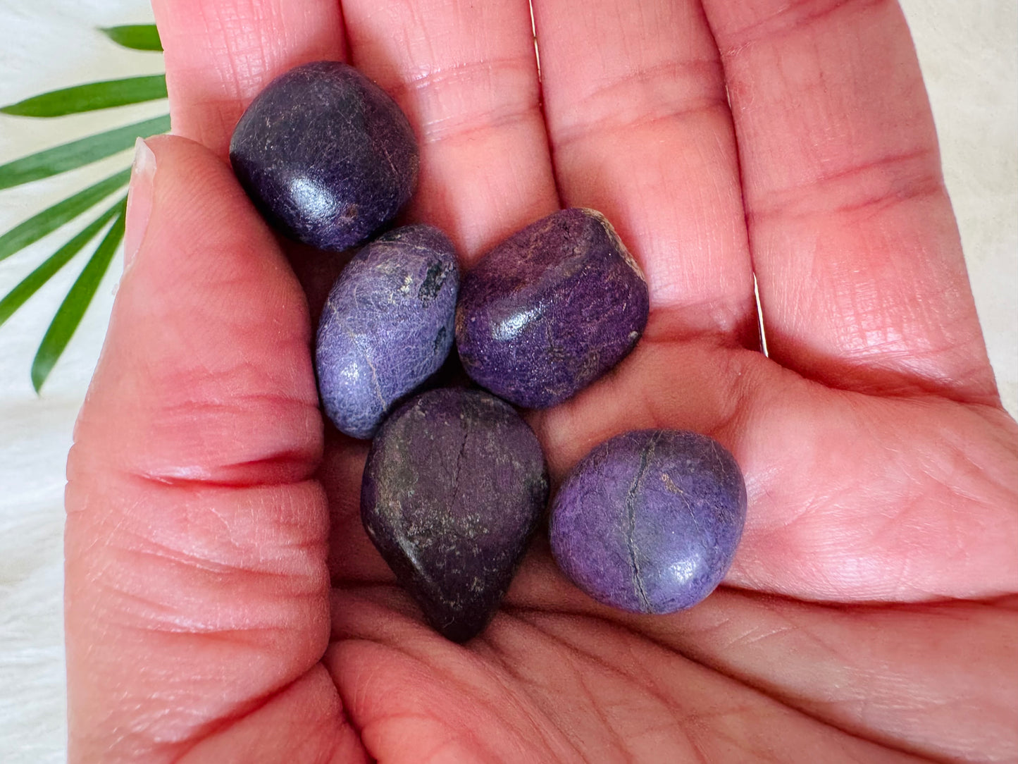 Purpurite Tumbled - Moon Room Shop and Wellness
