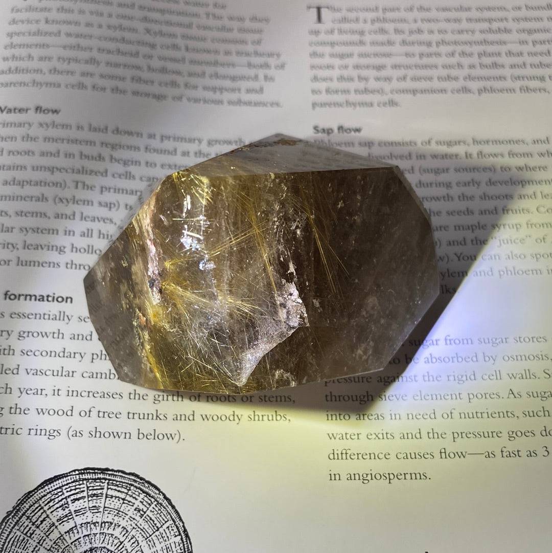 Garden Quartz With Gold Rutile Freeform 241 g - Moon Room Shop and Wellness