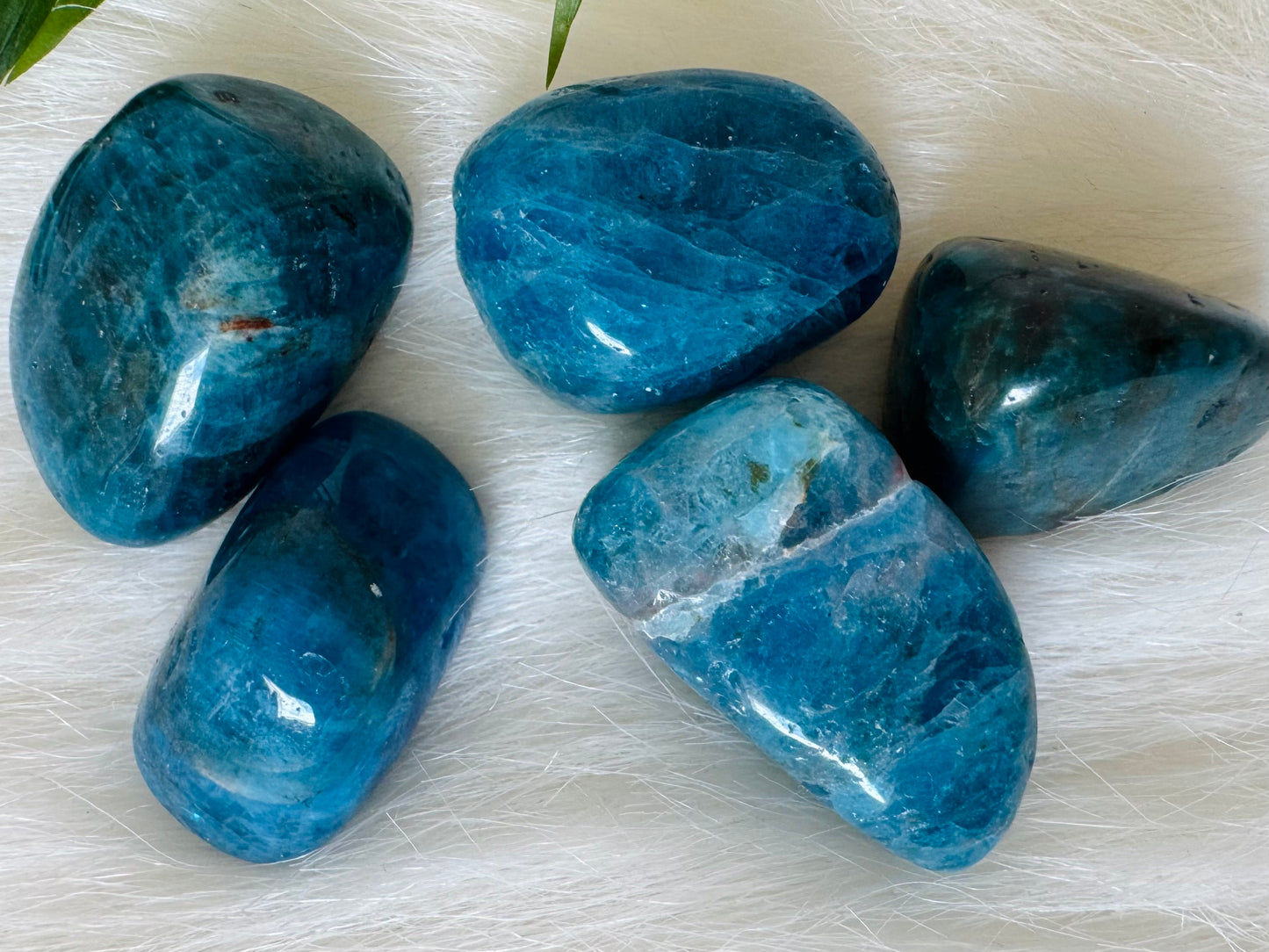 Blue Apatite Tumbled - Moon Room Shop and Wellness