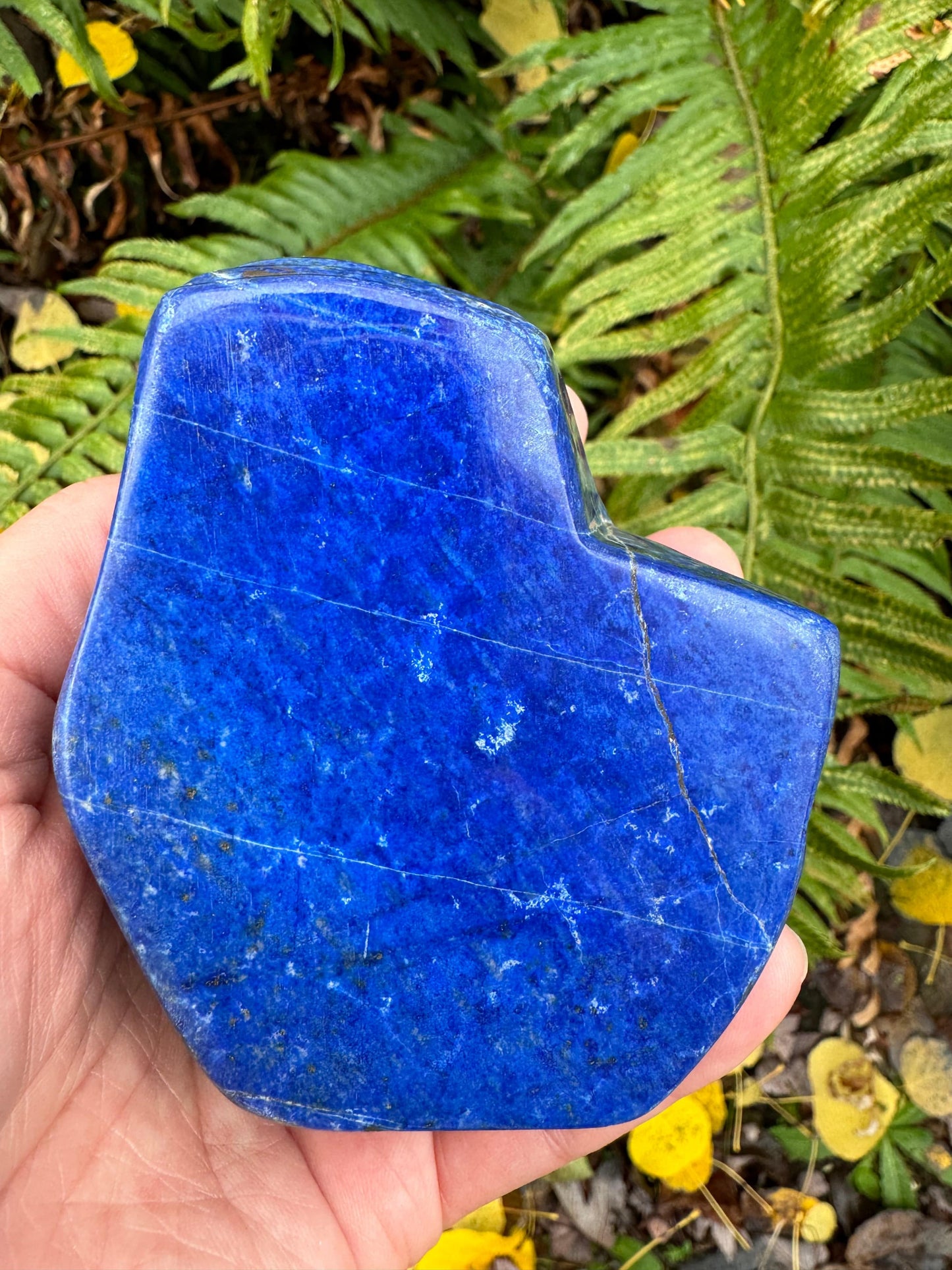 Lapis Lazuli Freeform Afghanistan 1.08 lb - Moon Room Shop and Wellness