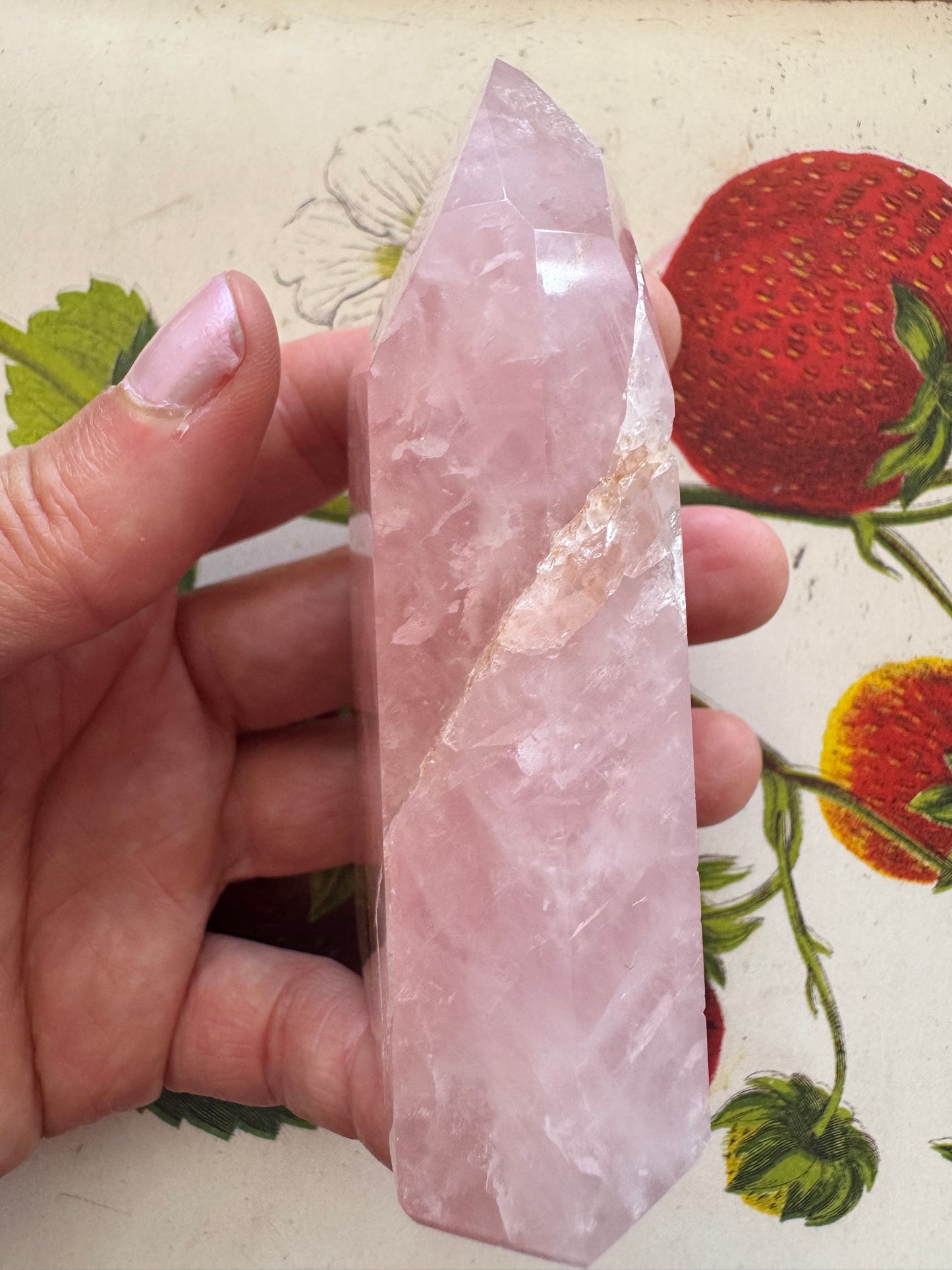Rose Quartz w/ Golden Healer Tower 174 g - Moon Room Shop and Wellness