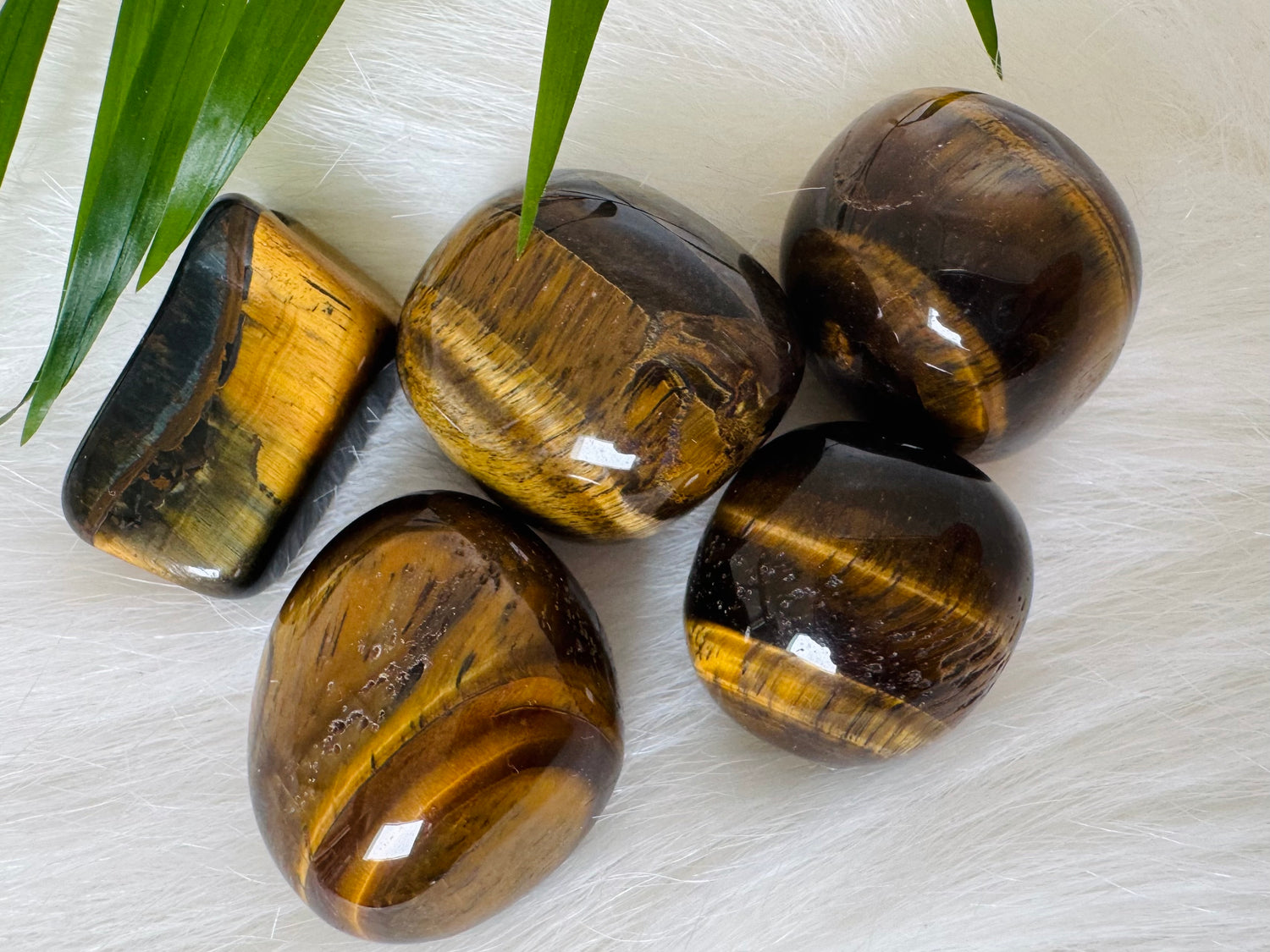 Tiger's Eye Tumbled - Moon Room Shop and Wellness