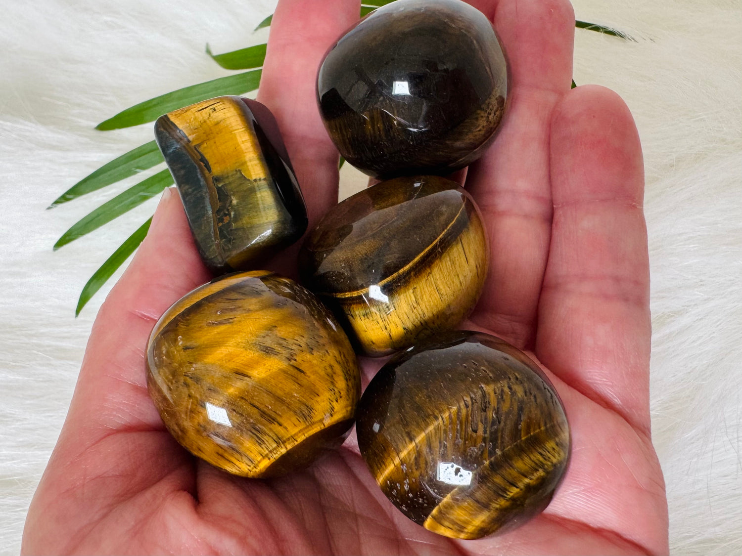 Tiger's Eye Tumbled - Moon Room Shop and Wellness
