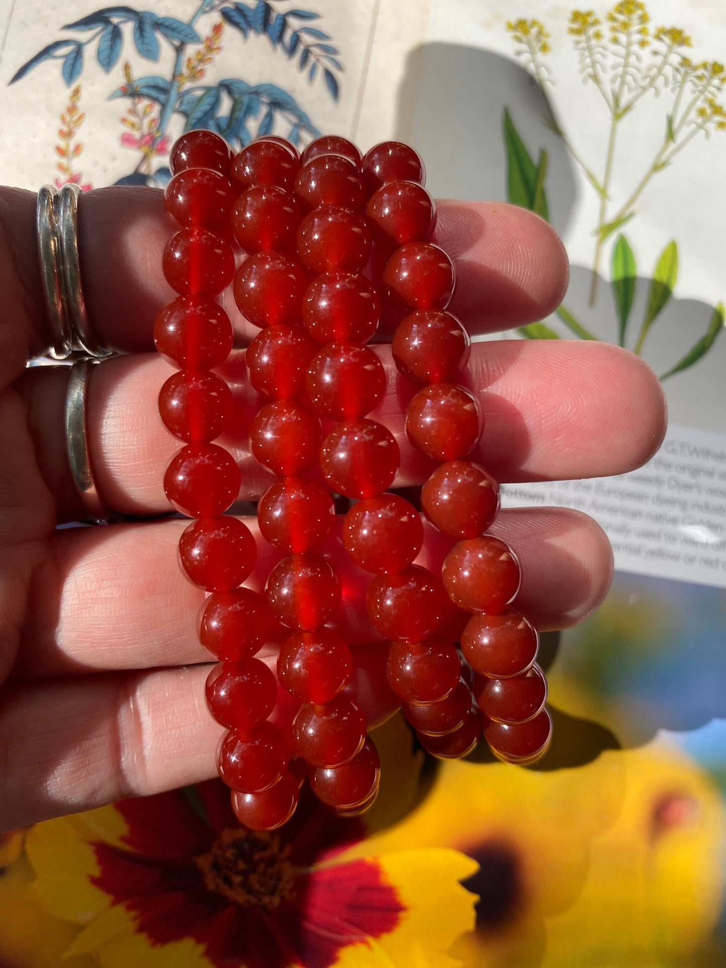 Carnelian Stretch Bracelet - Moon Room Shop and Wellness