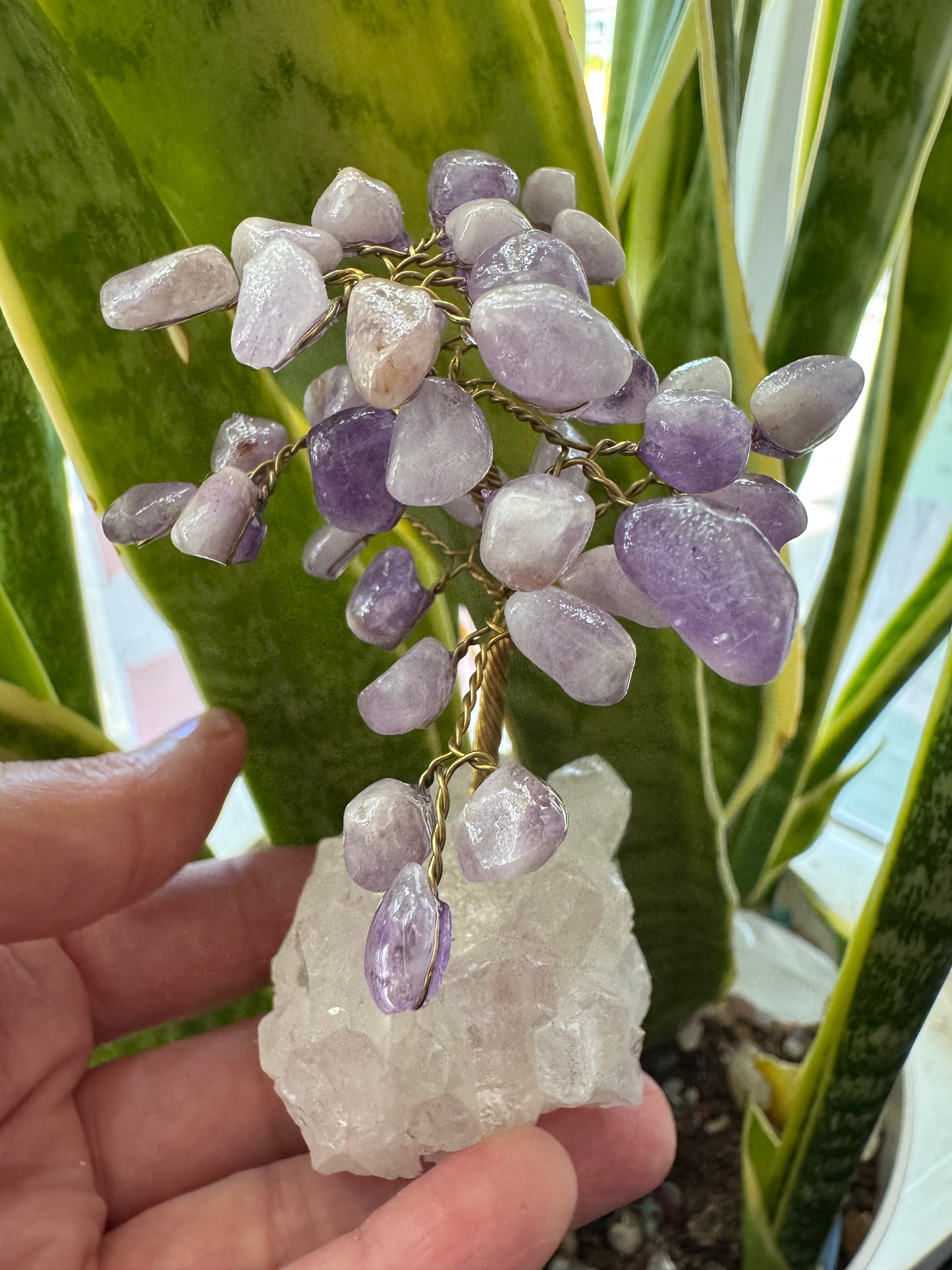 Amethyst Gem Tree on Clear Quartz -So Sweeeet!! - Moon Room Shop and Wellness