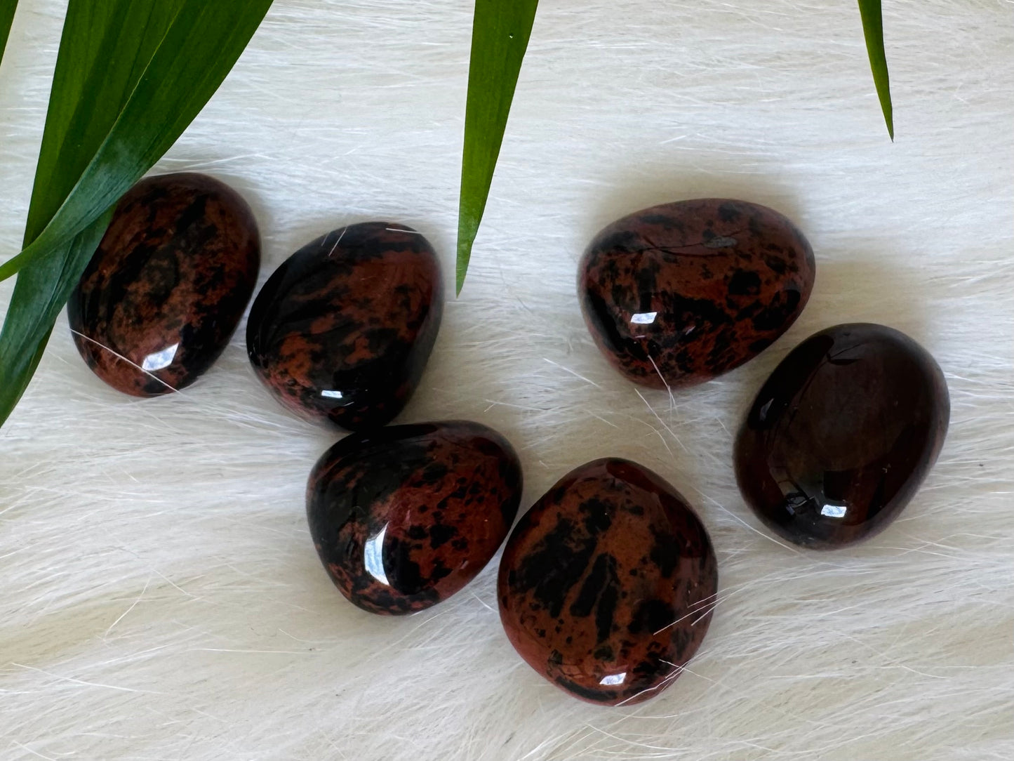 Mahogany Obsidian Tumbled - Moon Room Shop and Wellness